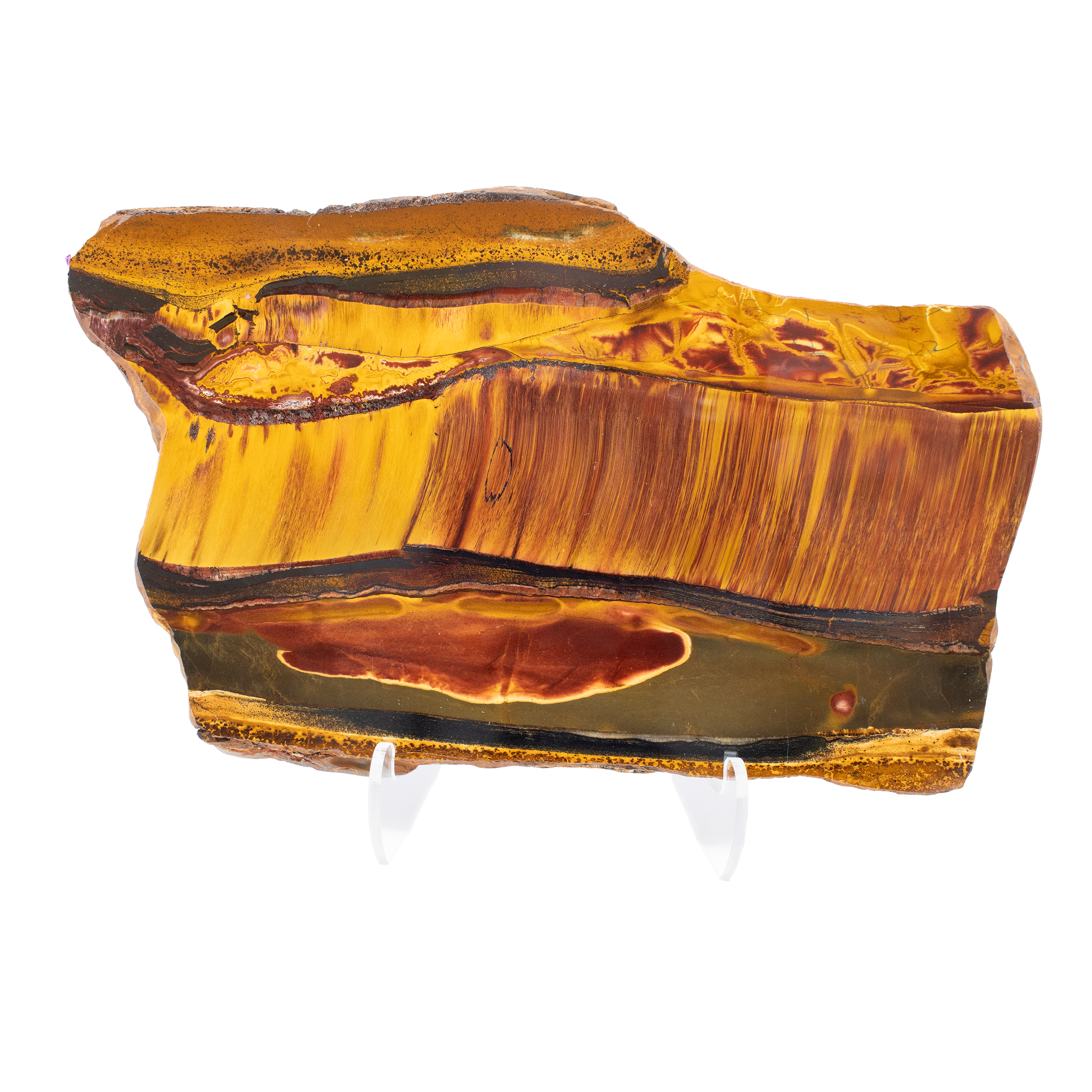 Enhance your collection with the captivating beauty of the Mara Mamba Tiger Eye Slice, a striking specimen sourced from the mineral-rich lands of Australia. Known for its unique blend of chatoyancy and vibrant hues, this freeform piece serves as both a mesmerizing display and a treasured collector's item.Hand-selected from the renowned mineral deposits of Western Australia, each piece showcases the distinctive golden and brown tones characteristic of Mara Mamba Tiger Eye. This freeform slice exhibits the stone's natural patterns and chatoyant sheen, reminiscent of a tiger's eye, making it an exquisite addition to any crystal or mineral collection. The crystal comes with a sleek, clear Lucite easel, allowing you to display the specimen perfectly on any surface. The minimalistic design of the easel ensures that all attention remains on the stone's inherent beauty. Mara Mamba Tiger Eye Slice - Freeform with Lucite Easel from Australia