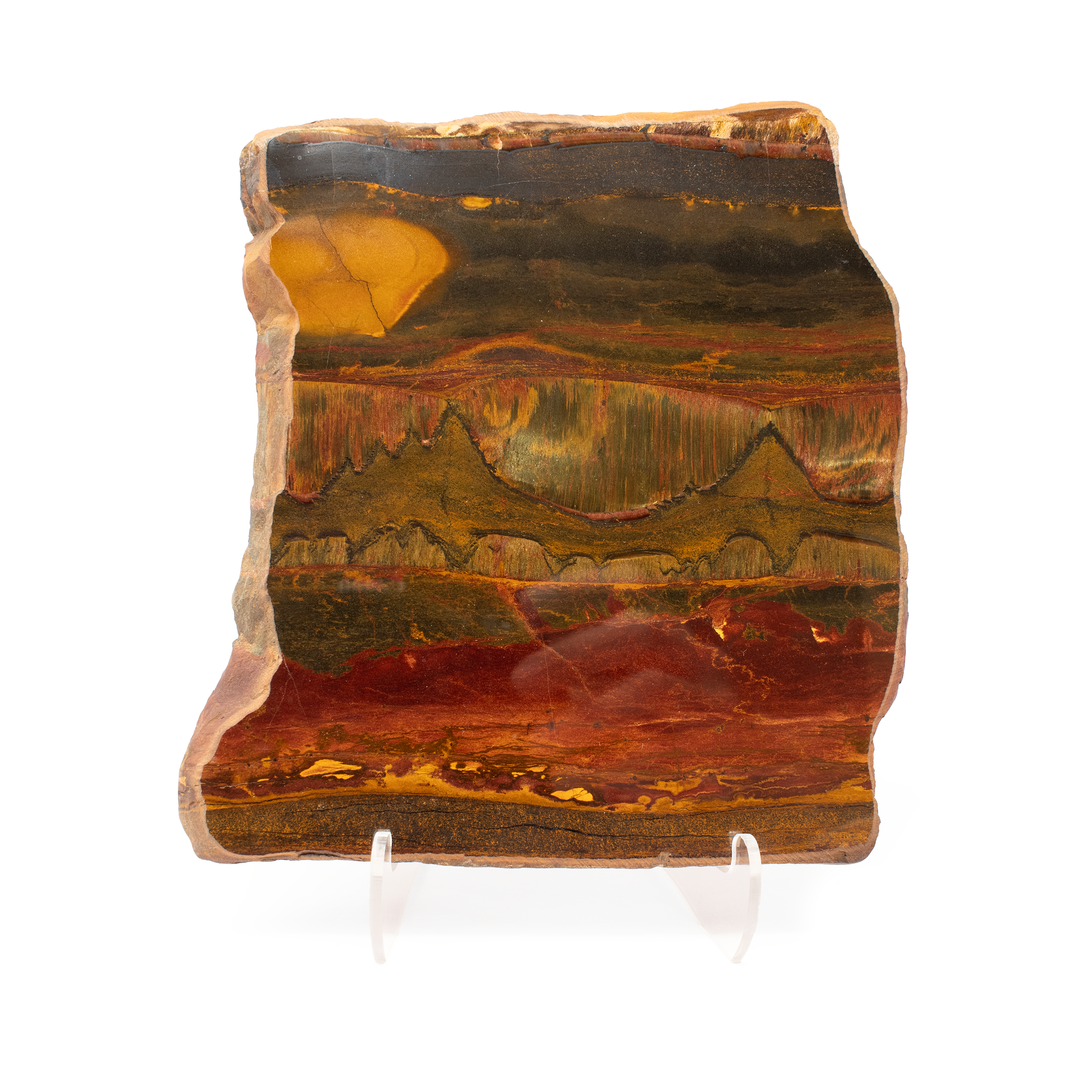 Unveil the captivating beauty of the Mara Mamba Tiger Eye Slice, a truly remarkable specimen from the heart of Australia. This extraordinary, freeform piece encapsulates the mesmerizing allure of Australia's unique geological wonders. It features radiant bands of golden yellows and rich browns, embodying the dramatic interplay of color and light for which Tiger Eye is celebrated.Hand-selected for discerning collectors, this specimen exudes an iridescent glow, displaying dynamic chatoyancy that shifts with every angle. The eye-catching patterns and lustrous sheen make it a natural marvel and a standout addition to any crystal collection.Housed on a pristine lucite easel, this Mara Mamba Tiger Eye Slice is as much a display of nature's artistry as it is a centerpiece for your living or workspace. The clear lucite easel not only offers sturdy support but also elevates the piece, allowing light to interact with its striking surface for an enhanced visual experience. Mara Mamba Tiger Eye Slice - Freeform with Lucite Easel from Australia