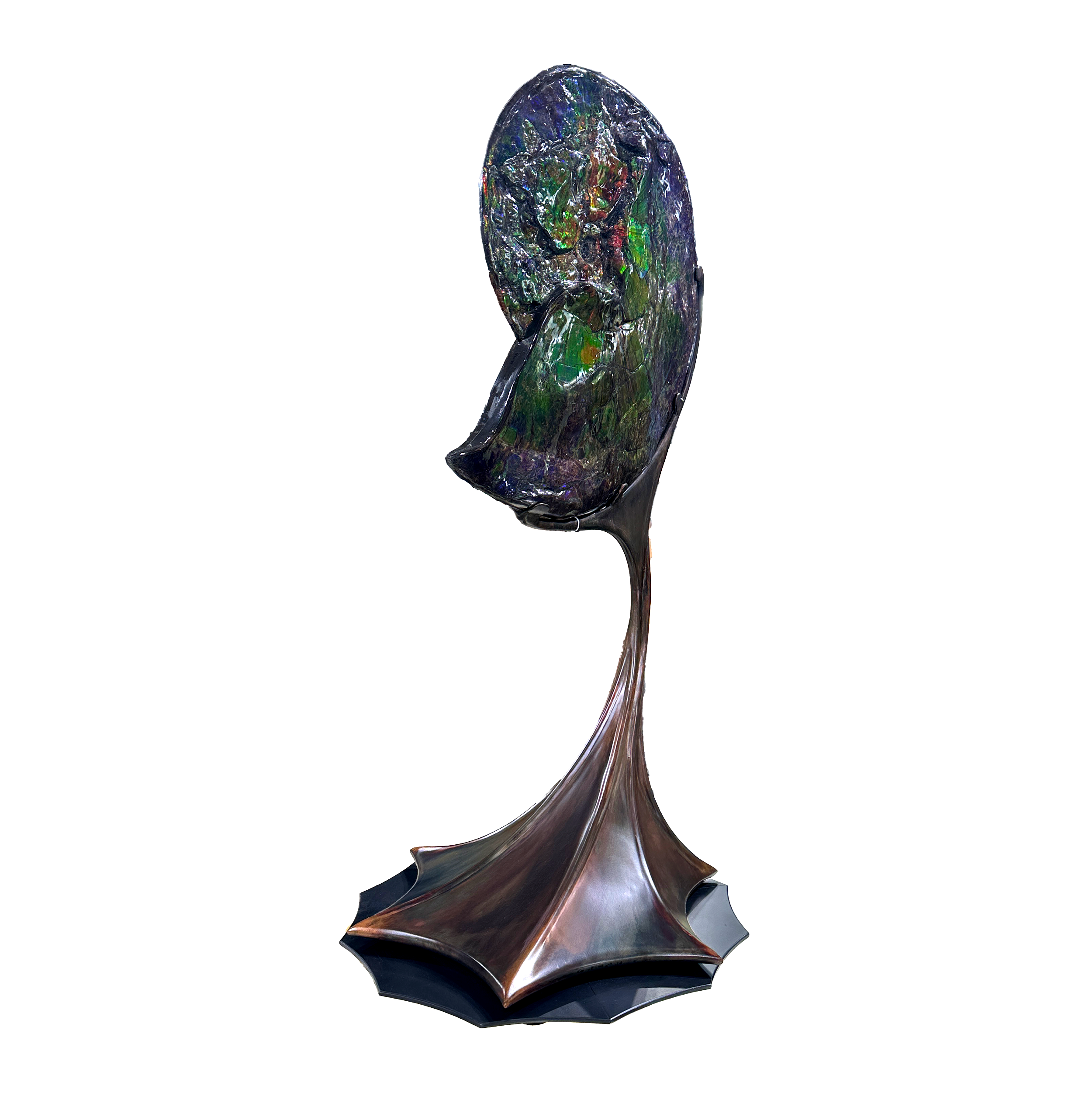 The A+ Ammonlite Fossil in Custom Rotating Stand is a rare and radiant whole-specimen display, capturing fiery natural color and ancient intrigue in one sculptural masterpiece. Sourced from the fossilized remains of a 70-million-year-old ammonite, this collector-grade specimen gleams with iridescent reds, greens, golds, and violets—its aragonite layers shifting with the light to reveal the fossil’s mesmerizing complexity.Set within a custom-designed stand featuring a rotating mechanism and hand-applied patina finish, the piece invites full 360-degree viewing, turning a static object into a dynamic work of art. Theatrical and timeless, this fossil is a stunning focal point for luxury interiors, galleries, or curated collections. No two are alike, ensuring yours is not only an object of deep geological history, but a singular artistic statement. A+ Ammonlite Fossil in Custom Rotating Stand - Whole with Vibrant Colors in Theatrical Design Stand with Patina Finish