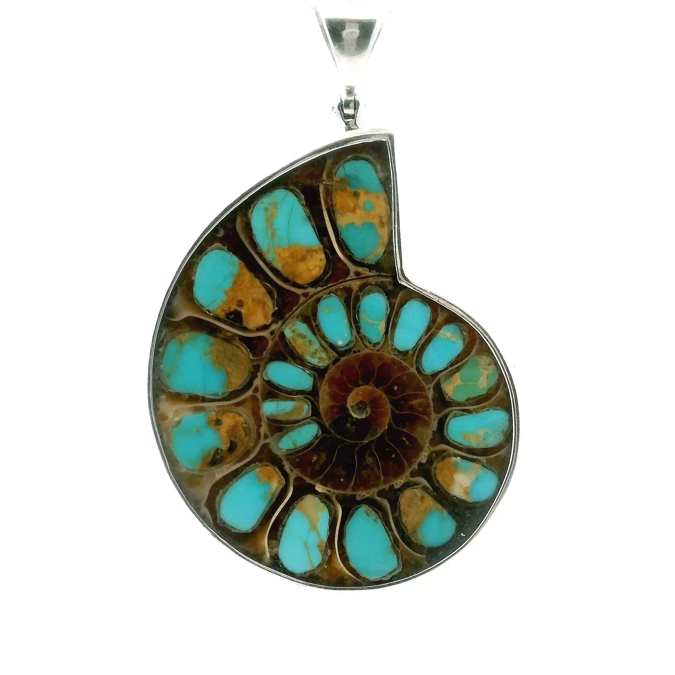 Discover natural history and timeless elegance with our Ammonite Fossil Pendant from Rare Earth Gallery. Featuring an open ammonite cross-section inlaid with vibrant blue Arizona turquoise and delicate veining, this pendant blends ancient beauty with modern style. Prong-set in 925 sterling silver, each piece is a unique glimpse into Earth's prehistoric past. Perfect for those who appreciate rare, meaningful treasures, this pendant brings a touch of nature’s artistry to any occasion. Ammonite Fossil Pendant - Open Ammonite Cross-section Inlaid with Arizona Turquoise with Caramel Inclusions Throughout Bezel Set in 925 Sterling Silver