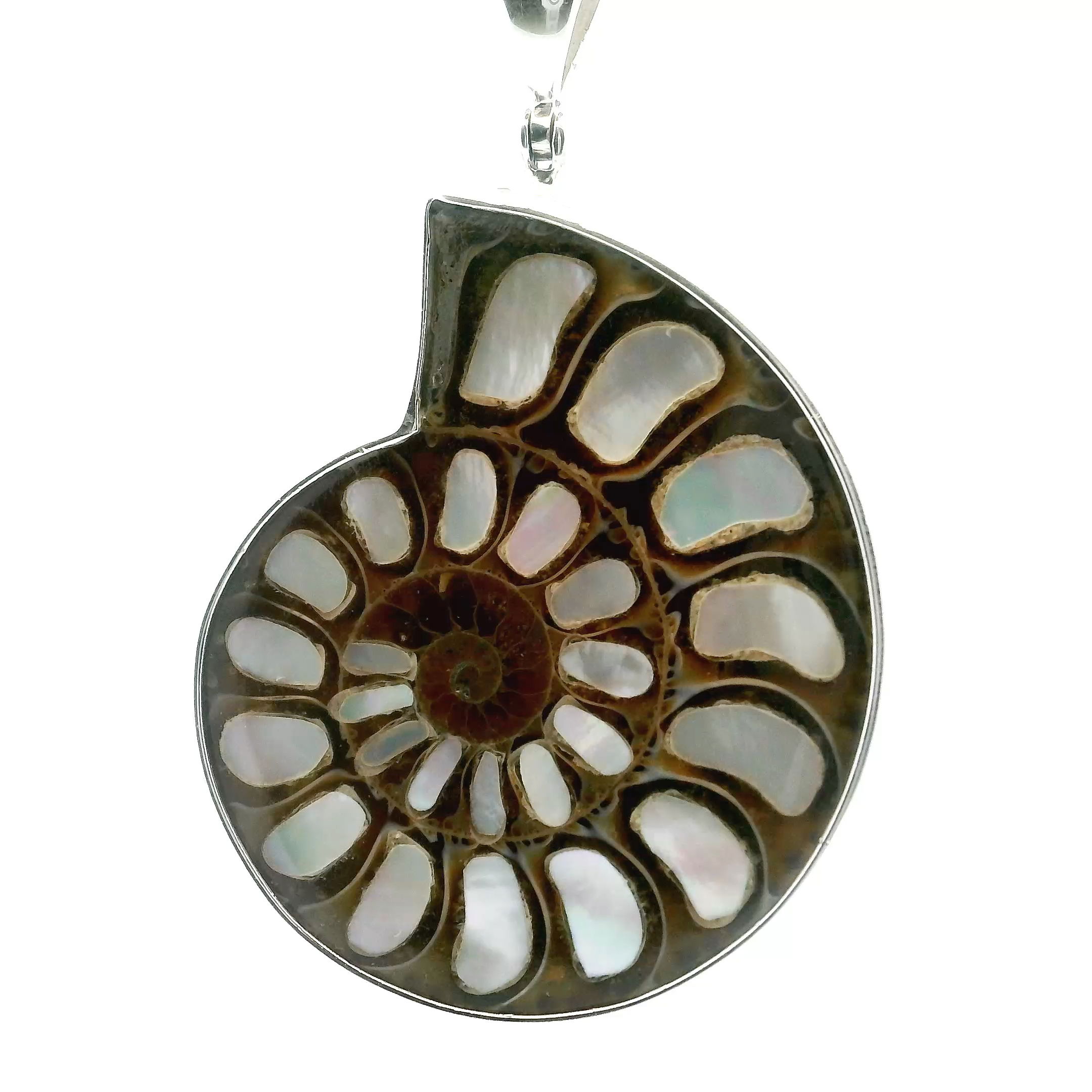 Elevate your jewelry collection with our Ammonite Fossil Pendant, where ancient beauty meets modern elegance. Featuring an open ammonite cross-section inlaid with shimmering mother of pearl, this piece captures the intricate patterns and iridescence of prehistoric oceans. Encased in a finely crafted 925 sterling silver bezel, it offers both timeless style and everyday durability. Proudly presented by Rare Earth Gallery, this pendant is perfect for those who appreciate unique, sophisticated jewelry that tells a story. Ammonite Fossil Pendant - Open Ammonite Cross-section Inlaid with Mother of Pearl & Bezel Set in 925 Sterling Silver
