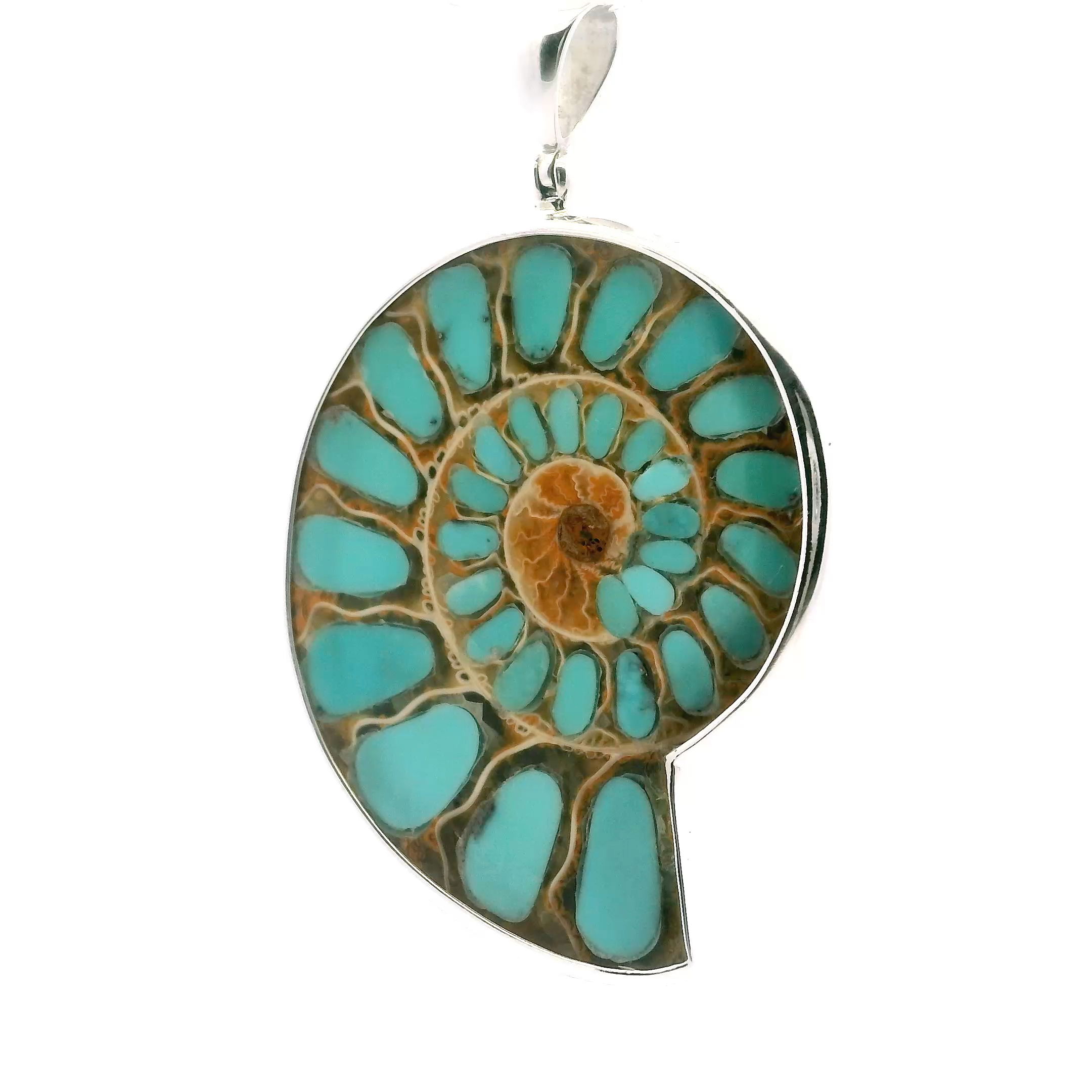 Discover Earth's timeless beauty with our Ammonite Fossil Pendant. Featuring an open inverted ammonite cross-section inlaid with veinless Arizona turquoise, this piece highlights nature’s intricate design with vibrant, unblemished color. Bezel-set in 925 sterling silver for lasting elegance, each pendant is a one-of-a-kind treasure. Perfect for those who value unique jewelry with a story, it brings ancient history and modern style together in a striking, unforgettable way. Ammonite Fossil Pendant - Open Inverted Ammonite Cross-section Inlaid with Veinless Arizona Turquoise Bezel Set in 925 Sterling Silver