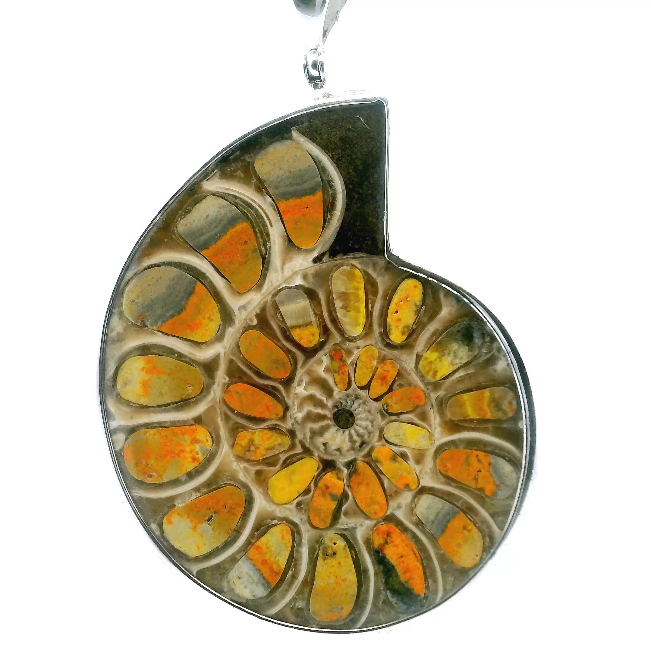 Elevate your collection with our Ammonite Fossil Pendant, a rare fusion of ancient beauty and vibrant color. Featuring an open ammonite cross-section inlaid with striking bumblebee jasper, this piece is prong-set in 925 sterling silver for lasting elegance. A delicate swirl accent on the reverse side adds an artistic touch. Perfect for women who value unique craftsmanship, this pendant blends prehistoric wonder with modern style, making it a captivating statement for any occasion. Ammonite Fossil Pendant - Open Ammonite Cross-section Inlaid with Orange & Gray Banded Bumblebee Jasper on Light Background Bezel Set in 925 Sterling Silver