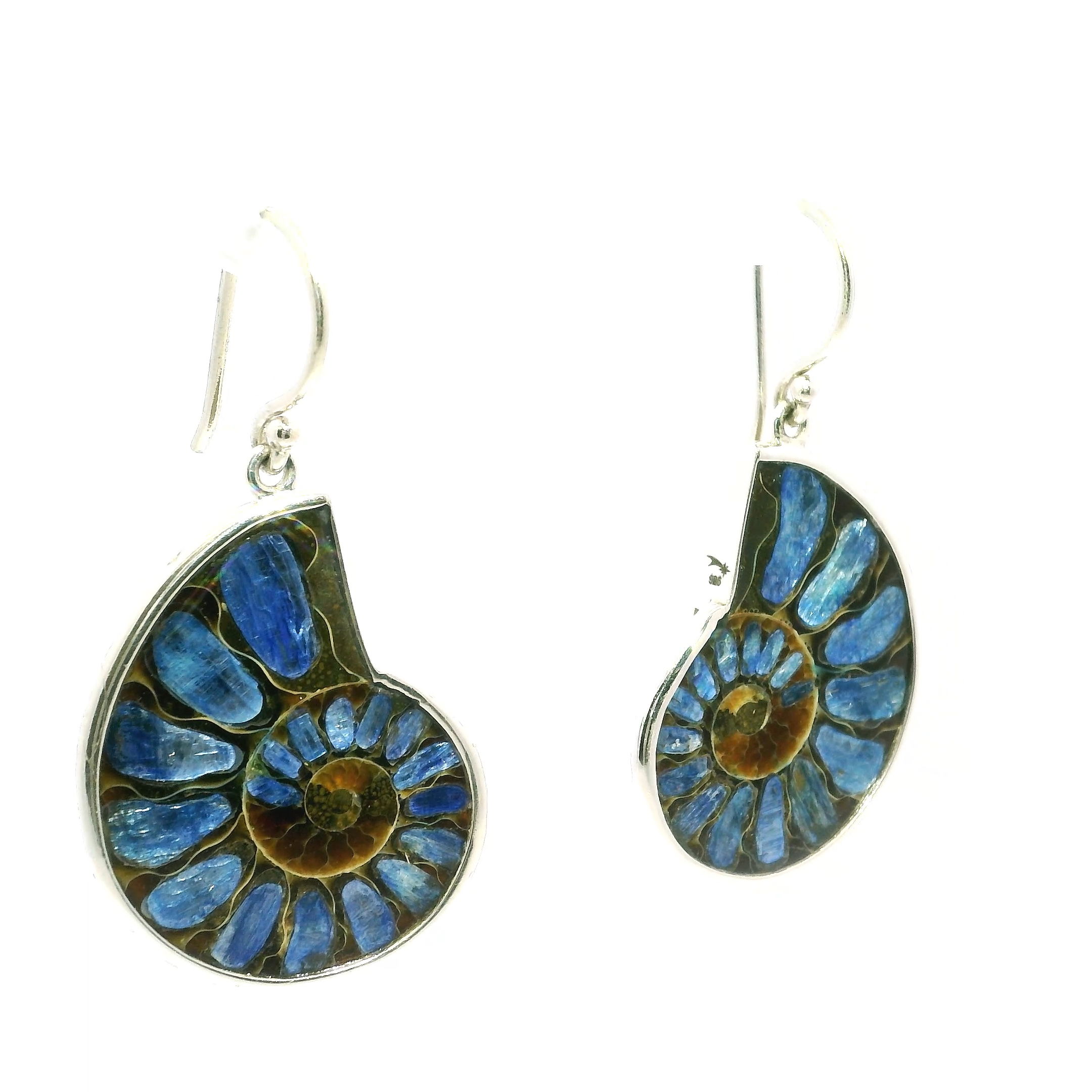 Elevate your style with our Ammonite Fossil and Kyanite Dangle Earrings, a captivating fusion of natural history and refined design. Each earring features a genuine ammonite fossil, showcasing the intricate spiral patterns formed over millions of years. No two fossils are alike, making every pair truly unique.Paired with rich blue kyanite stones that evoke the calm of ocean depths, these earrings bring a sense of harmony and timeless beauty. Lightweight and comfortable, they’re finished with hypoallergenic hooks—perfect for sensitive ears and all-day wear.Whether you’re drawn to their geological story or simply love their organic elegance, these earrings are a stunning choice for any occasion. Add a touch of natural wonder to your jewelry collection or gift someone special with a piece that celebrates both history and style. Ammonite Fossil Dangle Earrings - Cross-section Inlaid with Kyanite with Dark Caramel Center Bezel Set in Simple 925 Sterling Silver