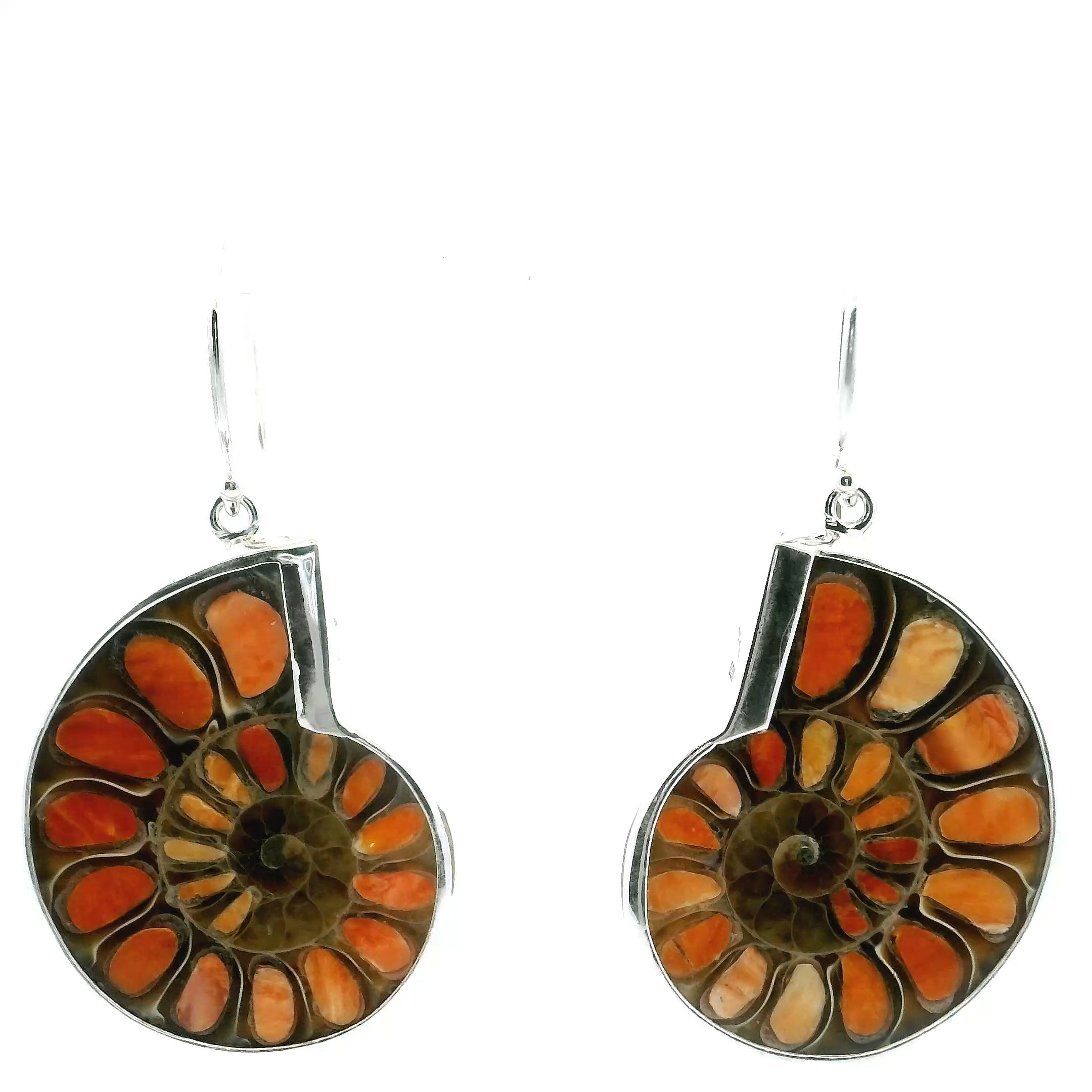 Elevate your jewelry collection with the natural elegance of our Ammonite Fossil and Spiny Oyster Dangle Earrings. Thoughtfully designed and handcrafted, each pair blends ancient earth history with vibrant ocean hues to create a truly unique statement.At the heart of these earrings lies the ammonite fossil, celebrated for its intricate spiral patterns and connection to the planet’s prehistoric past. No two fossils are ever the same, making your earrings as original as you are. Complementing the fossil’s earthy tones are vivid spiny oyster shells, showcasing a rich spectrum of deep purples, fiery oranges, and warm reds. Together, they form a striking contrast that captures attention and admiration.Expertly crafted by skilled artisans, the earrings are made to dangle gracefully, offering eye-catching movement with every step. Lightweight and comfortable, they’re perfect for any occasion—from casual outings to elegant evenings. Each pair comes beautifully packaged, making them a meaningful gift for someone special or a treasured addition to your own collection.Let these earrings be a reminder of the beauty found in nature’s contrasts—ancient and modern, subtle and bold, earthy and vibrant—all brought together in a wearable work of art. Ammonite Fossil Dangle Earrings - Cross-section Inlaid with Spiny Oyster & Bezel Set in 925 Sterling Silver