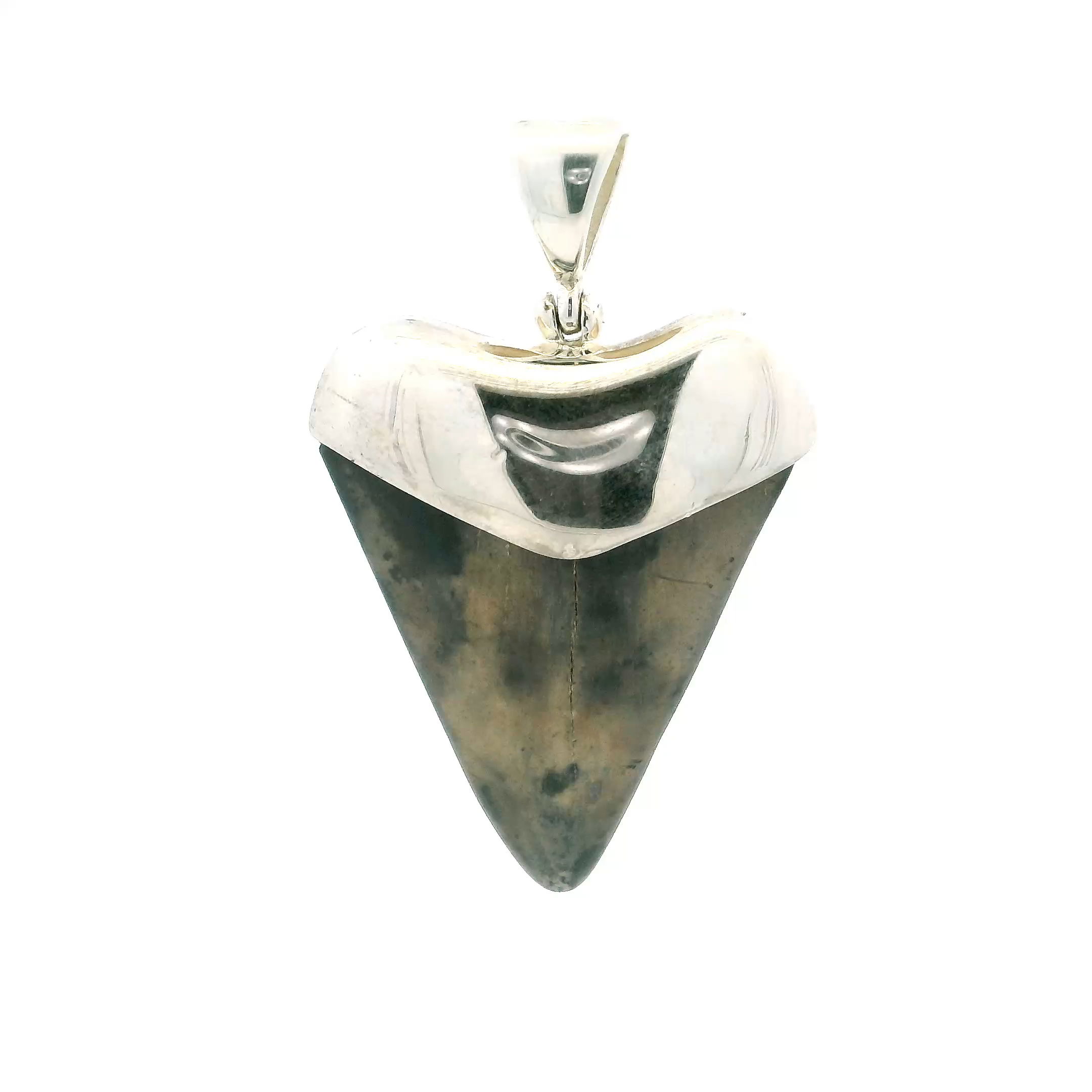 Embrace the mystery of the deep with our Fossilized Shark Tooth Pendant, a striking piece that connects ancient history with contemporary elegance. Featuring a genuine brown and gray mottled shark tooth—preserved by nature over millions of years—this pendant is a rare, one-of-a-kind relic of Earth's prehistoric seas.Set in luminous 925 sterling silver, the tooth is cradled in a lantern-inspired frame that offers both strength and grace. The detailed design elevates the fossil’s rugged charm while allowing its natural textures and tones to shine.Perfect for ocean lovers, adventurers, and those drawn to bold, meaningful jewelry, this pendant is more than just an accessory—it’s a symbol of resilience, history, and connection to the natural world. Its versatile style complements both everyday wear and more refined looks, making it a distinctive addition to any collection.Whether worn solo or layered, the Fossilized Shark Tooth Pendant brings a sense of wonder to your wardrobe and invites you to carry a piece of Earth's story wherever you go. Fossilized Shark Tooth Pendant - Brown & Gray Mottled Tooth Lantern Set in 925 Sterling Silver