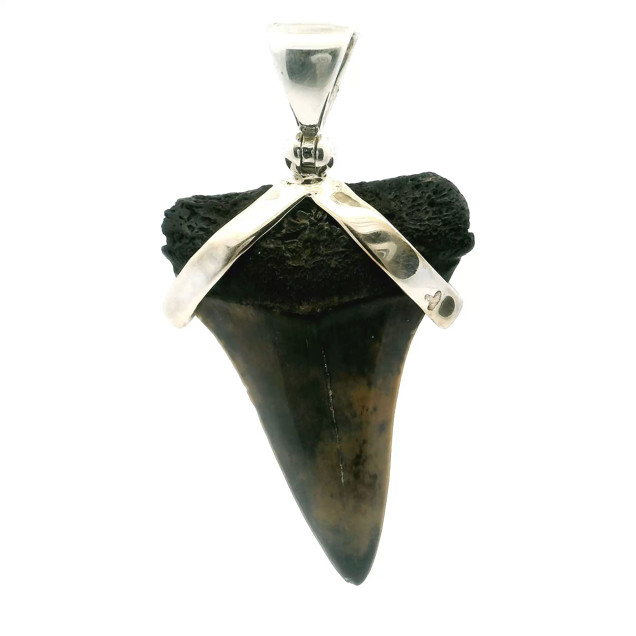 Dive into timeless style with our Fossilized Shark Tooth Pendant, a bold yet elegant piece that blends the raw power of nature with refined design. Featuring a genuine fossilized shark tooth in beautiful gray and tan mottled tones, this pendant is a true relic of the ancient ocean—each detail a reminder of Earth’s deep history.Expertly set in smooth 925 sterling silver, the pendant is finished with a sleek strap design that adds subtle sophistication without distracting from the tooth’s organic charm. Lightweight and versatile, it complements both casual looks and more polished outfits, making it perfect for everyday wear or special occasions.Whether you're a lover of marine history, natural textures, or statement jewelry, this piece offers a powerful connection to the past wrapped in contemporary elegance. A thoughtful gift or a standout addition to your collection, the Fossilized Shark Tooth Pendant speaks to those who appreciate beauty with a story.Celebrate strength, style, and the mystery of the sea—wear a piece of the Earth’s history. Fossilized Shark Tooth Pendant - Gray & Tan Mottled Tooth Set with Smooth Strap in 925 Sterling Silver