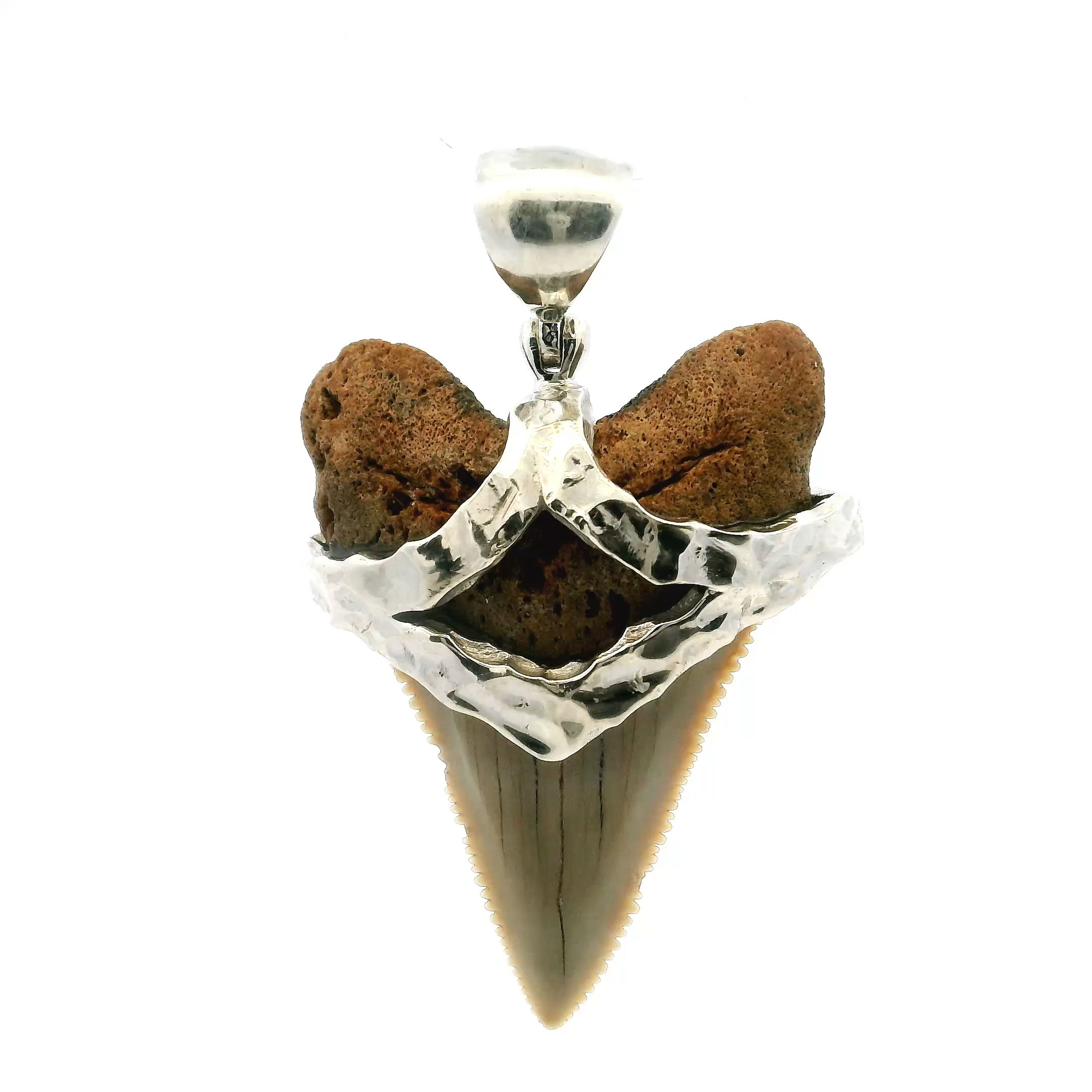 Add a touch of prehistoric beauty to your look with our Fossilized Shark Tooth Pendant, featuring a genuine tan shark tooth preserved over millennia. Its serrated edges and natural texture speak to its powerful origins, while a hammered 925 sterling silver strap adds a contemporary edge to this timeless piece.Set with care and crafted to captivate, this pendant blends raw nature with refined style—perfect for women who appreciate bold design with a story behind it. Whether paired with everyday wear or layered for a striking evening look, it brings both intrigue and sophistication.A meaningful gift or personal keepsake, this pendant is more than an accessory—it's a wearable piece of Earth’s deep history, designed to spark conversation and admiration wherever you go.Embrace the mystery of the ocean and carry its legacy with you, one elegant step at a time. Fossilized Shark Tooth Pendant - Tan Tooth with Serrated Edges Set with Hammered Strap in 925 Sterling Silver