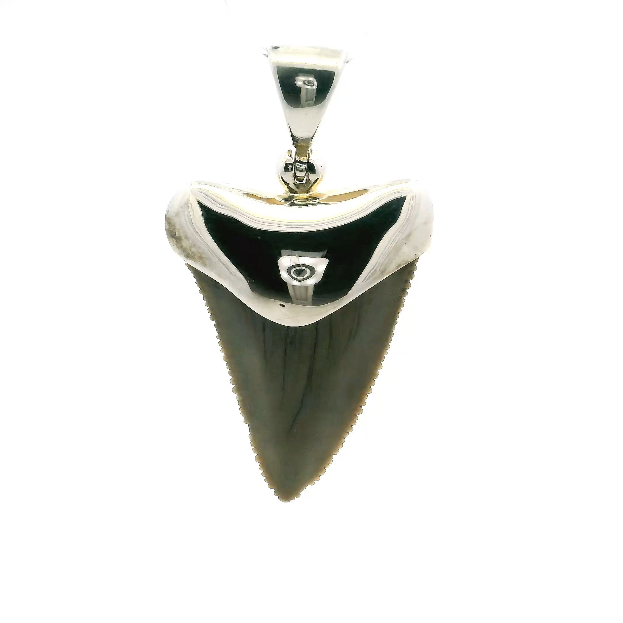 Channel the untamed spirit of the ocean with our Shark Tooth Pendant, crafted for women who embody strength, resilience, and individuality. Inspired by the ocean’s most powerful predator, this piece is a tribute to wild beauty and fearless style.Each pendant features a meticulously polished shark tooth, set in your choice of sterling silver, gold vermeil, or solid gold. Its sleek, organic design highlights the natural shape and symbolism of the tooth—representing courage, protection, and bold self-expression.Versatile and striking, the pendant pairs effortlessly with both casual and formal looks. Wear it solo for a clean statement or layer it for a more adventurous edge. Delivered in elegant packaging, it also makes a thoughtful gift for ocean lovers and risk-takers alike.Make waves with your style—let the Shark Tooth Pendant be a reminder of your inner strength and unshakable spirit. Fossilized Shark Tooth Pendant - Tan Tooth Lantern Set in Simple 925 Sterling Silver