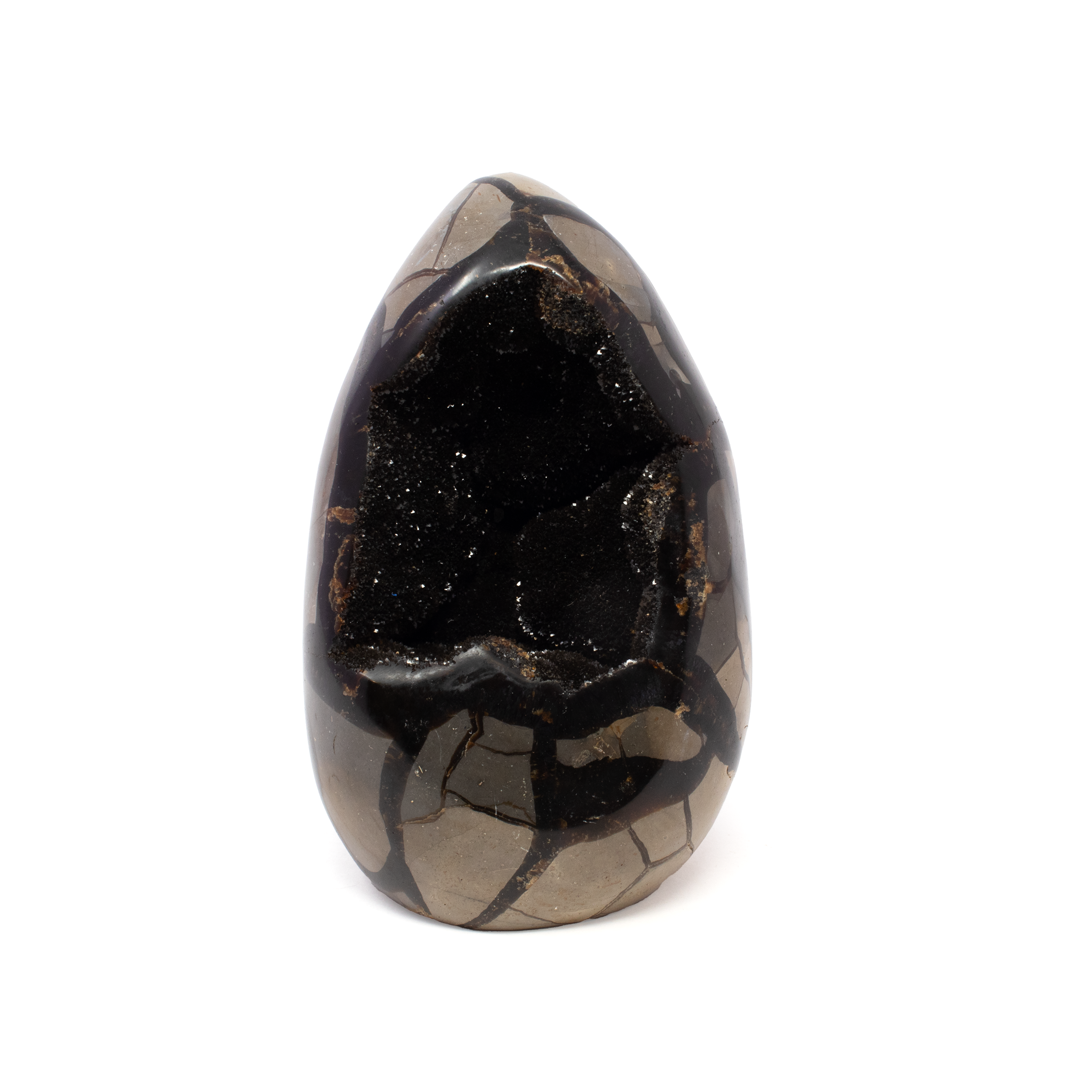 Sourced from Madagascar, this Septarian Geode Egg showcases warm earth tones, bold geometric patterns, and a shimmering druze crystal surface. Expertly carved with a flat cut base, it stands beautifully as a unique decor piece or collector’s treasure.Whether displayed at home or gifted to a crystal enthusiast, this egg offers a striking blend of natural history and visual allure—capturing the timeless beauty formed deep within the Earth. Septarian Druze Geode Freeform Egg with Cut Base from Madagascar