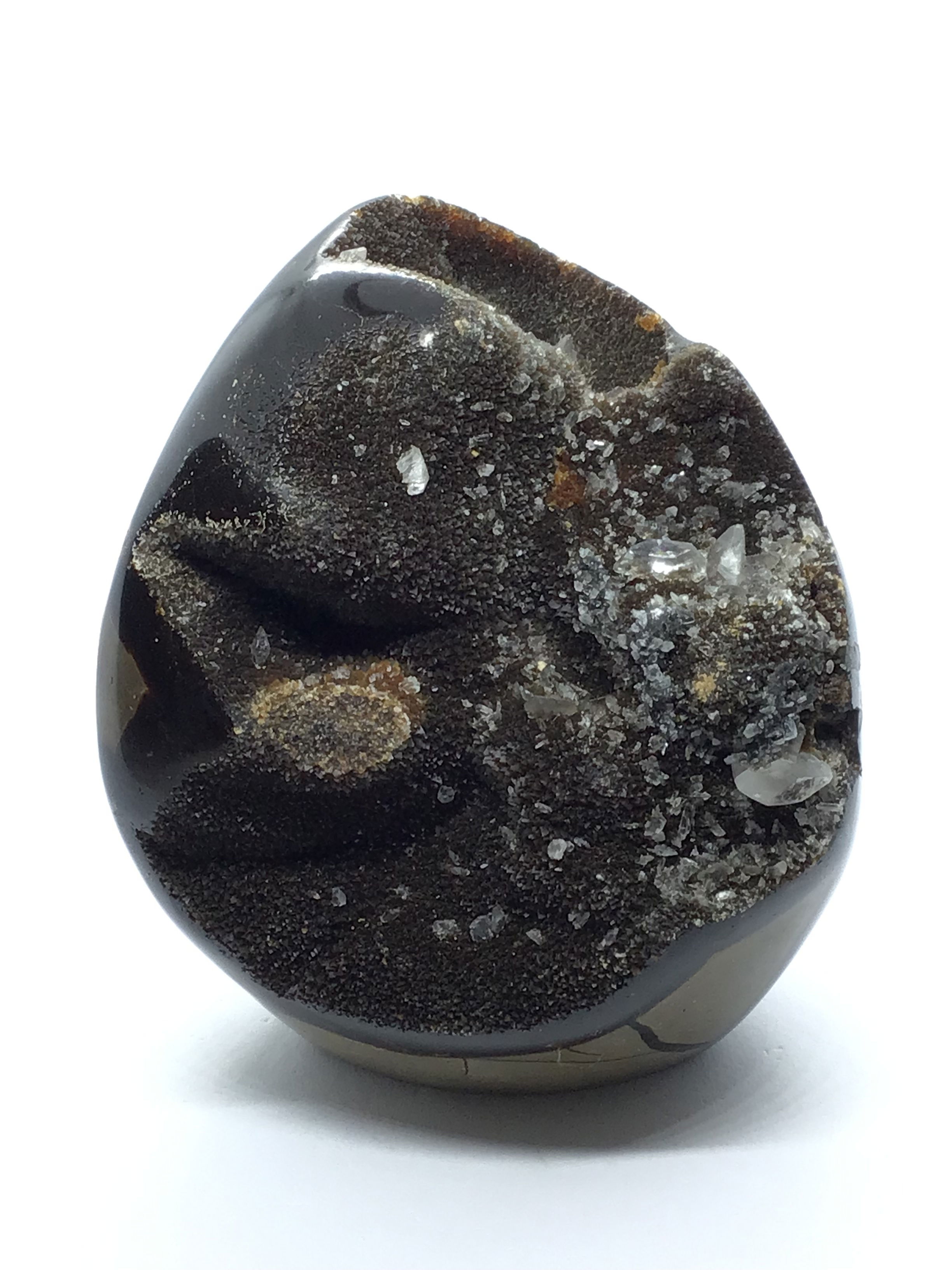 Discover the raw beauty of Earth’s ancient past with our Septarian Druze Geode Egg, hand-carved from Madagascar’s mineral-rich terrain. This freeform piece features a cut base for easy display and showcases dramatic patterns in earthy tones, accented by sparkling calcite crystal druzes.With its organic textures and grounding presence, this geode egg is both a stunning decor piece and a thoughtful gift for collectors and nature lovers. Often called the "Dragon Stone," Septarian is also believed to promote calm, clarity, and emotional balance.A unique blend of natural history and visual elegance—perfect for any space that appreciates the beauty of the Earth. Septarian Druze Geode Freeform Egg with Cut Base from Madagascar - Calcite Crystal Inclusions
