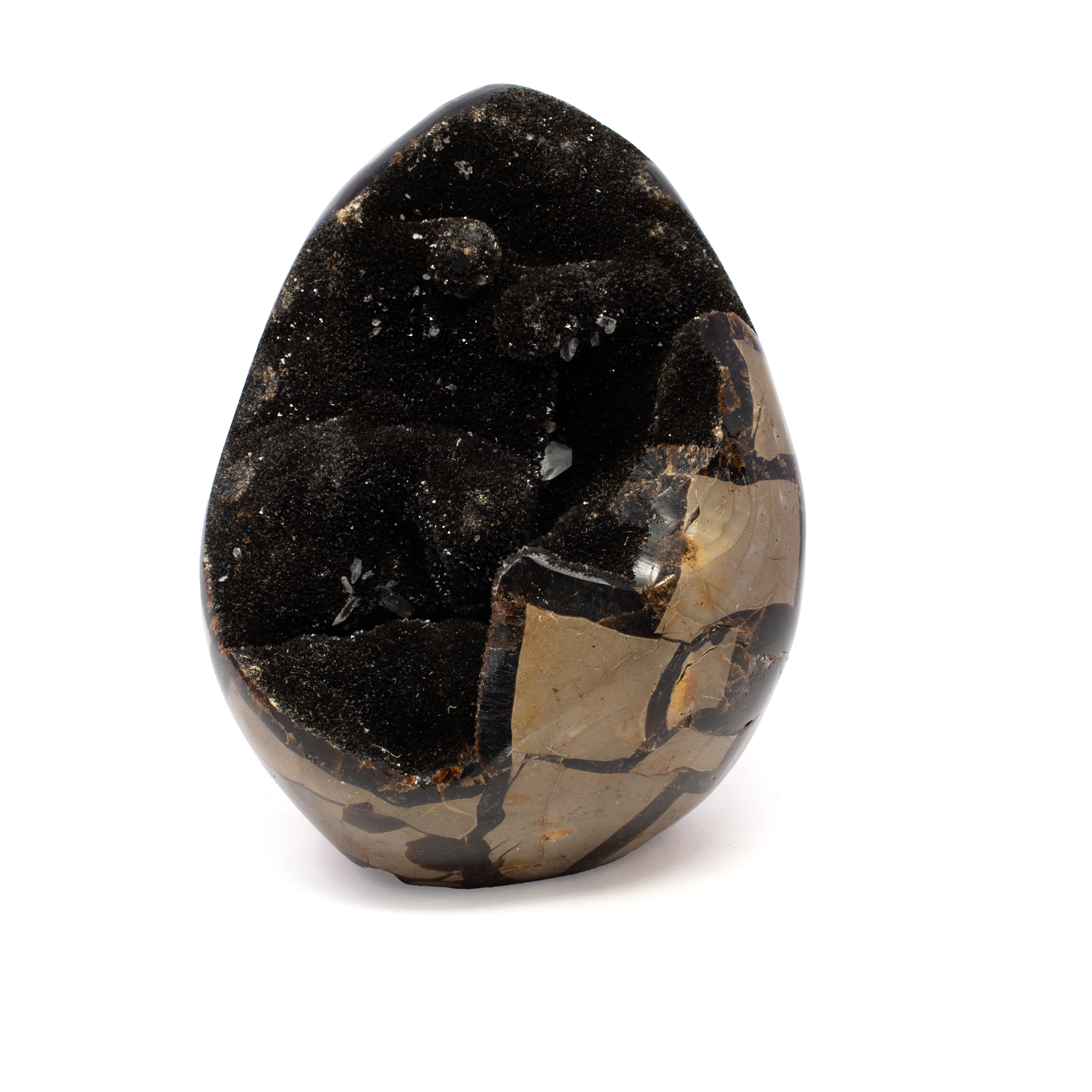 This stunning Septarian Egg from Madagascar features luminous calcite druze crystals and bold natural patterns, all encased in a hand-shaped freeform design with a cut base for easy display. Its warm tones and geometric beauty reflect millions of years of geological artistry.Ideal as a collector’s piece, gift, or decor accent, it brings a sense of grounding and wonder to any space—uniting ancient Earth energy with timeless visual appeal. Septarian Druze Geode Freeform Egg with Cut Base from Madagascar - Calcite Crystal Inclusions