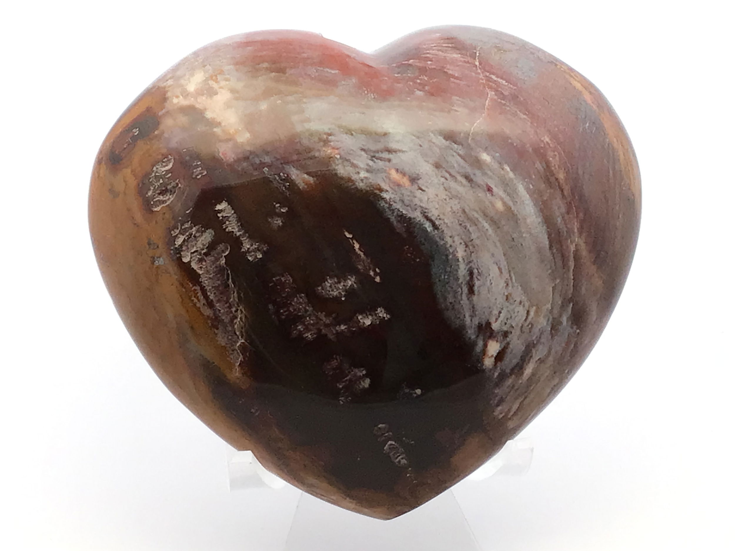 Madagascar Petrified Wood Heart with Lucite Stand