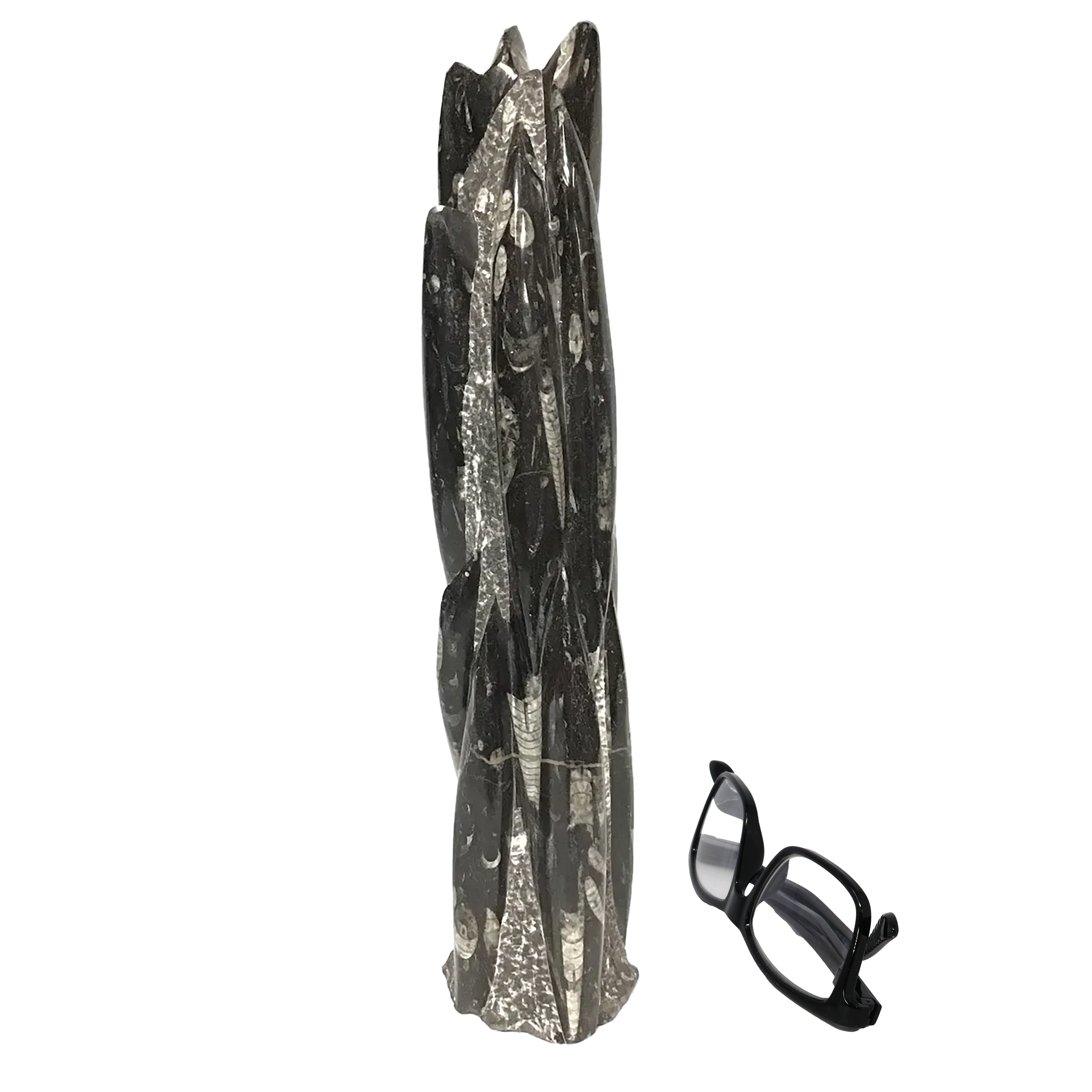 The Orthoceras Fossil Sculpture from Morocco captures the ancient elegance of a 400-million-year-old cephalopod, its tapered, chambered form preserved in polished stone. Carved from fossil-rich matrix, each piece highlights the distinctive linear patterns of Orthoceras shells—marine creatures that once drifted through the Devonian seas. The subtle contrast between fossil and matrix reveals nature’s own artistry, transforming prehistoric remains into a sculptural statement.Ethically sourced and meticulously shaped, this fossil sculpture adds depth and intrigue to any setting. Whether placed in a study, classroom, or display cabinet, it speaks to both science and design, appealing to collectors, educators, and lovers of the natural world alike. Orthoceras Fossil Sculpture from Morocco
