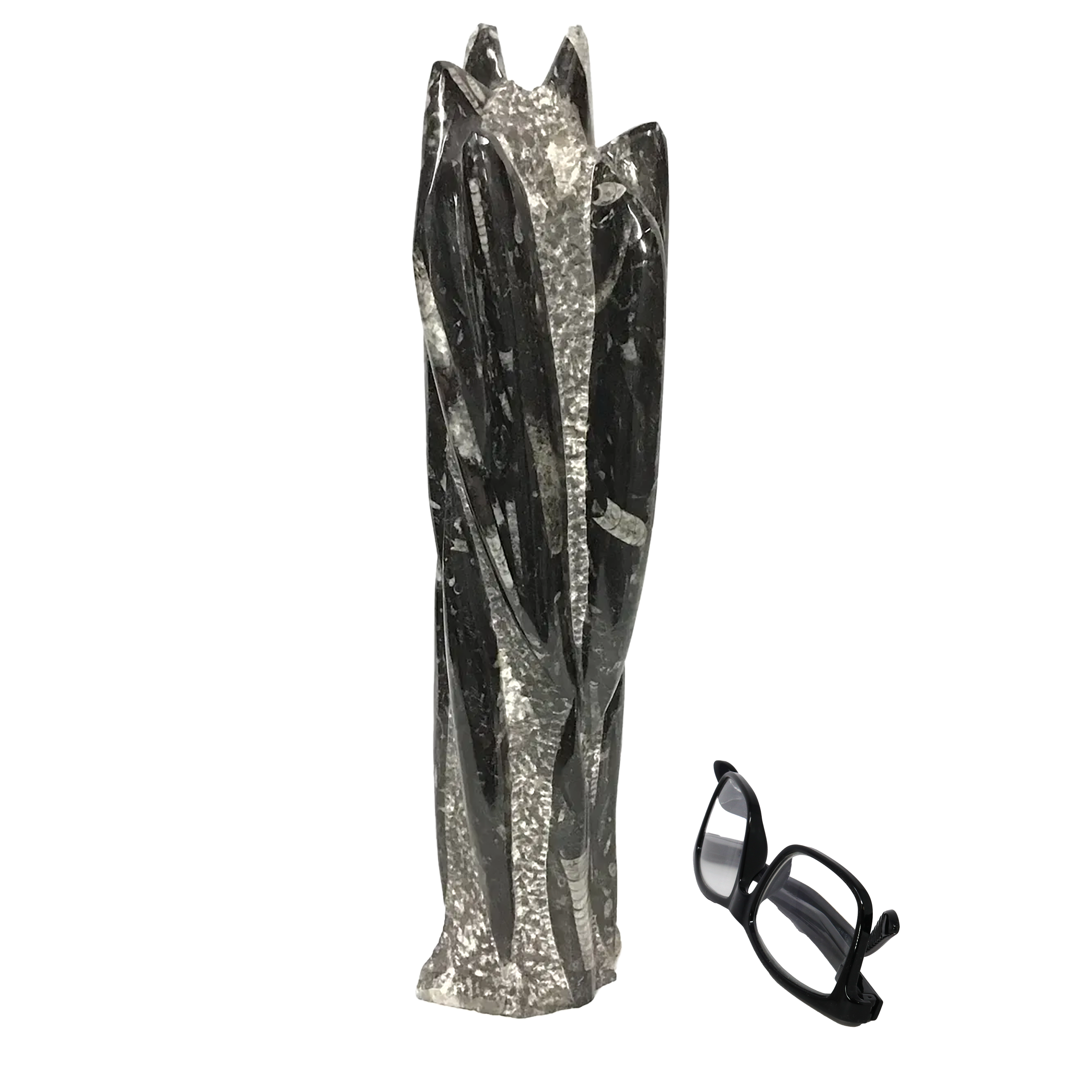 The Orthoceras Fossil Sculpture from Morocco captures the ancient elegance of a 400-million-year-old cephalopod, its tapered, chambered form preserved in polished stone. Carved from fossil-rich matrix, each piece highlights the distinctive linear patterns of Orthoceras shells—marine creatures that once drifted through the Devonian seas. The subtle contrast between fossil and matrix reveals nature’s own artistry, transforming prehistoric remains into a sculptural statement.Ethically sourced and meticulously shaped, this fossil sculpture adds depth and intrigue to any setting. Whether placed in a study, classroom, or display cabinet, it speaks to both science and design, appealing to collectors, educators, and lovers of the natural world alike. Orthoceras Fossil Sculpture from Morocco