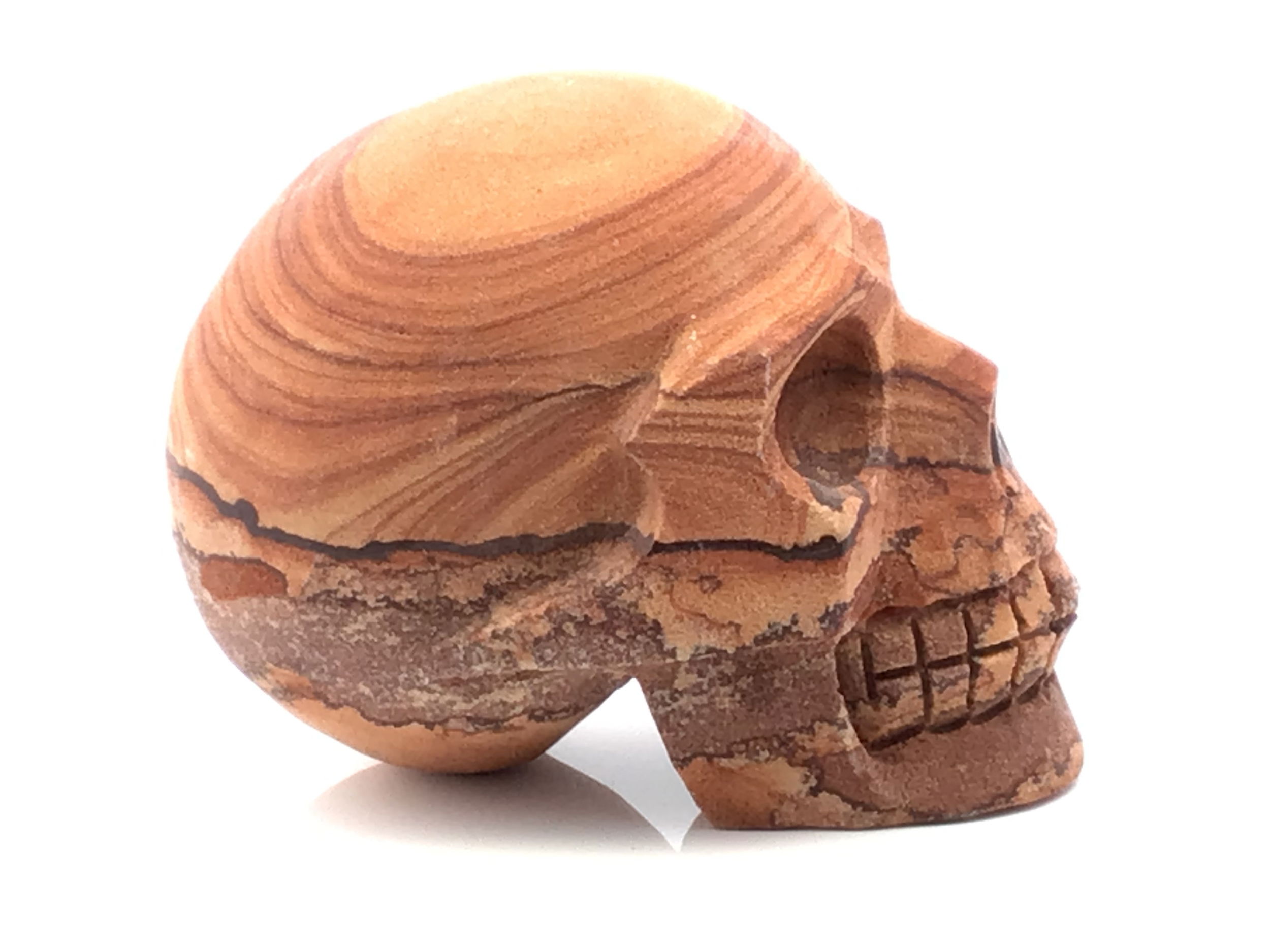 Hand-carved from genuine desert sandstone, this skull sculpture captures the raw essence of arid landscapes with its earthy textures and windswept hues. Each piece is naturally unique, with subtle variations in warm taupe, dusty rose, and sun-bleached beige, reflecting the ancient terrain it hails from. Intricately detailed and sculpted to evoke the mystery of timeworn relics, this piece makes a striking accent in any setting.Whether placed on a bookshelf, mantle, or covered patio, it blends effortlessly into rustic, bohemian, or modern interiors. Ideal for skull collectors, desert lovers, or those drawn to bold, naturalistic art, this Desert Sandstone Skull Carving is both a tribute to nature’s artistry and a timeless statement of individuality. Desert Sandstone Skull Carving
