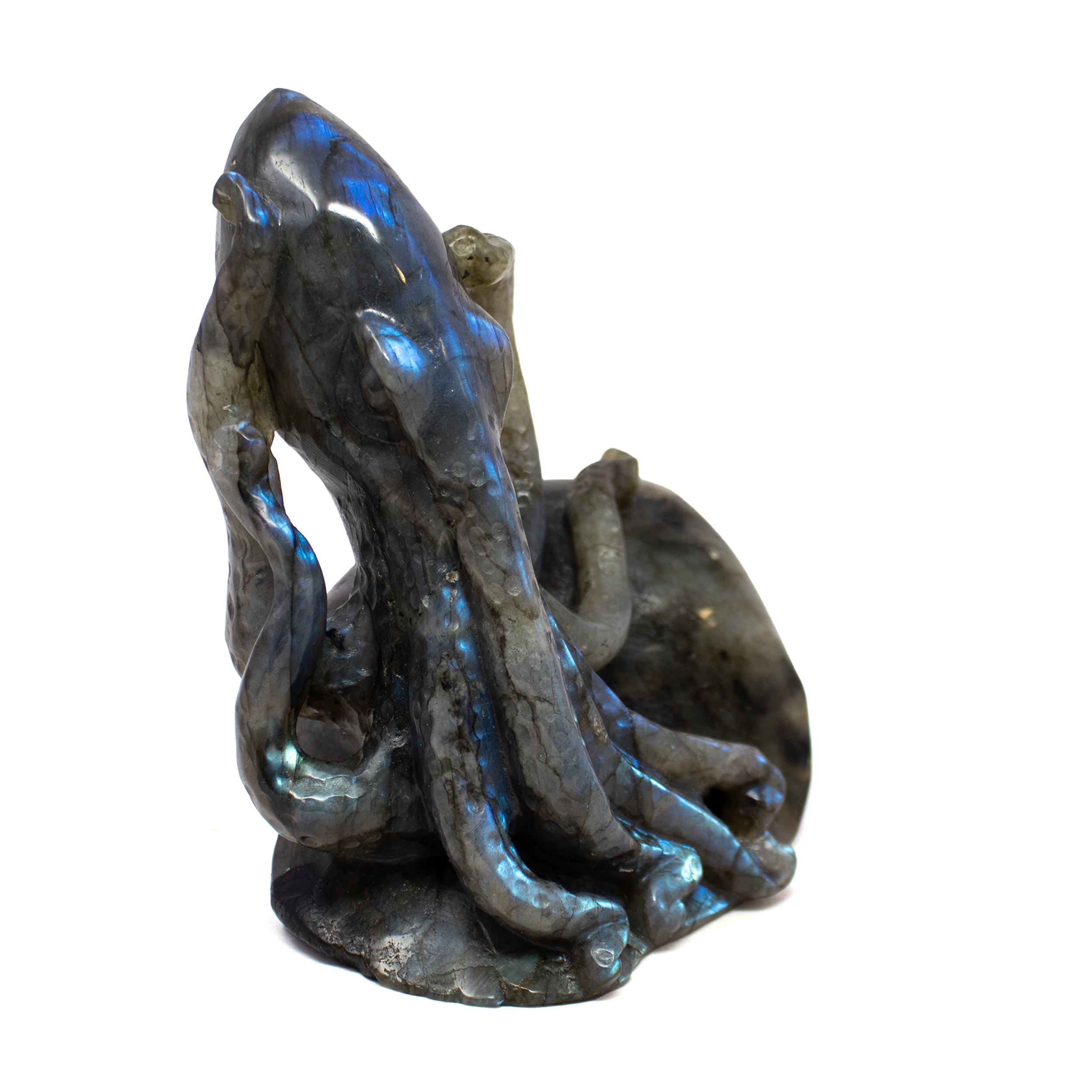 The A+ Labradorite Octopus Carving captures the ocean’s mystery in luminous stone, hand-carved from ethically sourced, high-grade labradorite renowned for its vivid flashes of blue, green, and gold. Every curve and tentacle of the octopus is intricately sculpted, evoking movement, intelligence, and fluid grace. Shimmering with labradorescence, this captivating figure doubles as both a decorative treasure and a symbolic talisman—labradorite is revered for its protective, transformative energy.Measuring approximately 3 to 4 inches and polished to reveal its inner fire, this sculpture makes a unique addition to altars, bookshelves, or personal sanctuaries. Perfect for ocean lovers, gemstone collectors, and thoughtful gift-givers alike, this piece radiates magic, meaning, and handcrafted artistry in equal measure. A+ Labradorite Octopus Carving