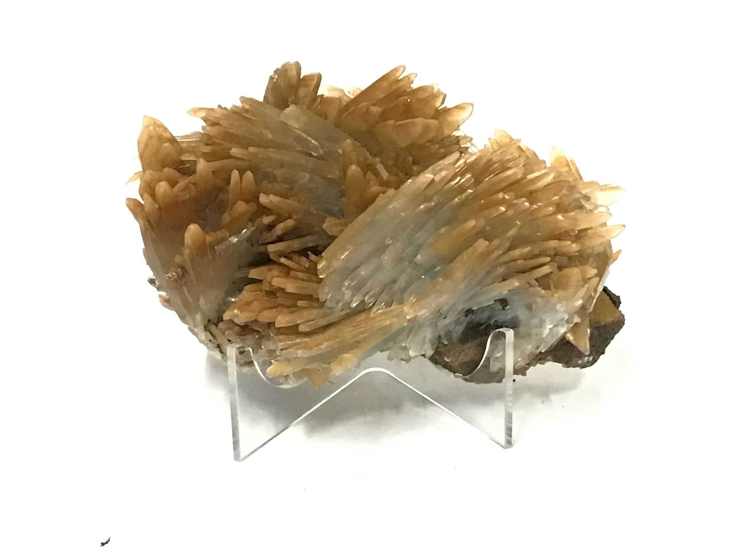 The A+ Gold & Blue Barite + Azurite Matrix on Lucite Stand is a striking Moroccan collector’s specimen that pairs radiant clarity with deep, earthen elegance. Golden and pale blue Barite crystals emerge in fine, transparent blades from a base of velvety, indigo Azurite, creating a vivid interplay of color, form, and contrast. Carefully curated for its visual and structural quality, the specimen is mounted on a clear Lucite stand, offering an elevated, full-view presentation that celebrates the geometry and mineralogy of the piece from every angle.Sourced from Morocco’s famed mineral-rich terrain, this display captures the natural harmony between two prized minerals in a composition both refined and dramatic. Ideal for collectors, crystal connoisseurs, or as a standout accent in modern decor, this A+ specimen offers a rare and radiant glimpse into the Earth’s crystalline depths. A+ Gold & Blue Barite + Azurite Matrix on Lucite Stand From Morocco