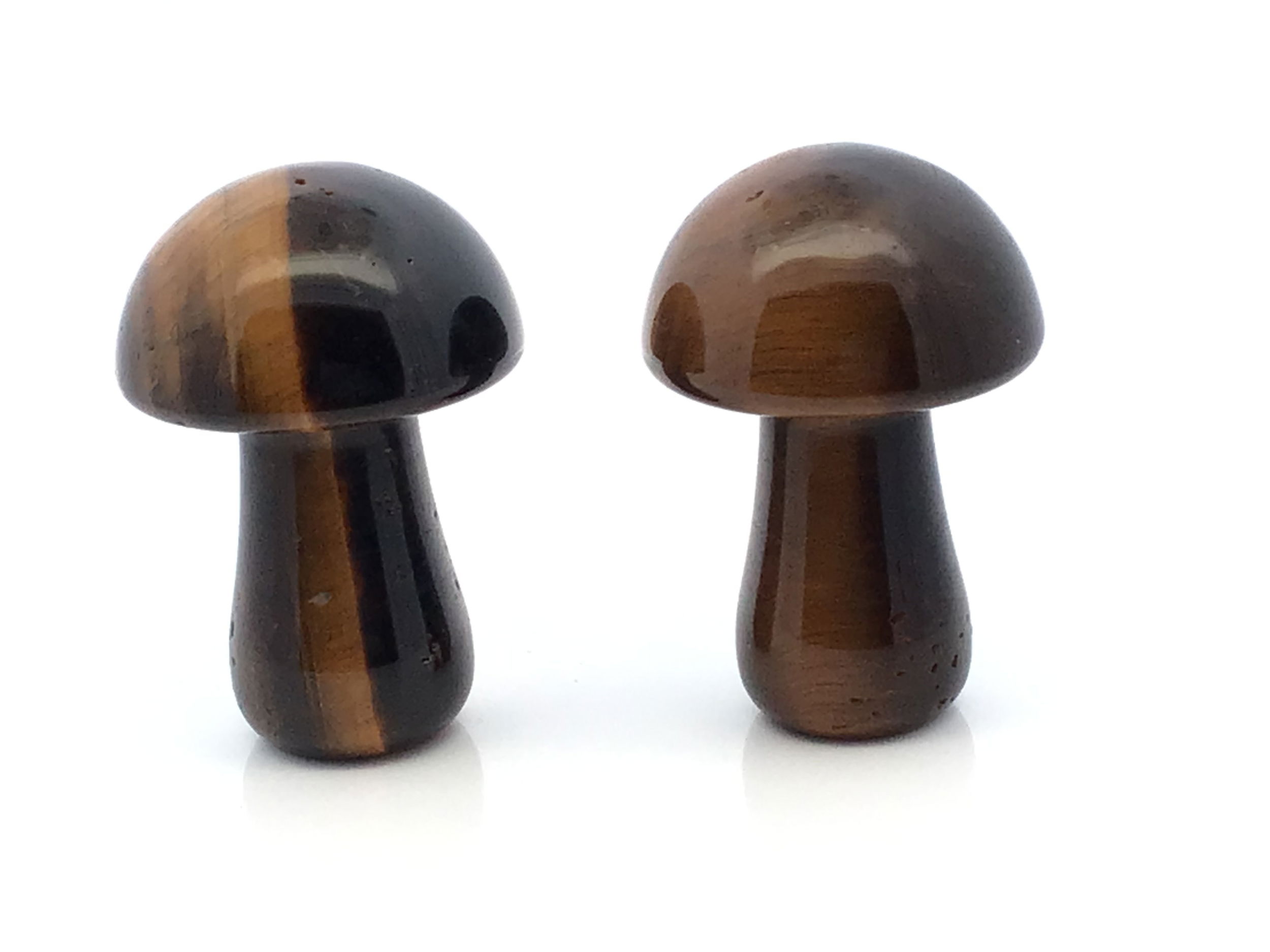 Infuse your space with strength and shimmer with this Tiger Eye Mushroom Carving, hand-carved from genuine golden-brown Tiger Eye and alive with chatoyant bands that shift in the light like molten gold. Each curve captures the grounding energy and protective spirit of this legendary stone, long revered for its connection to courage, clarity, and focused intention. Whether placed on an altar, a desk, or among your crystal companions, this piece is more than décor—it’s a talisman carved by the earth, ready to energize your space with resilience and warmth. Tiger Eye Mushroom Carving