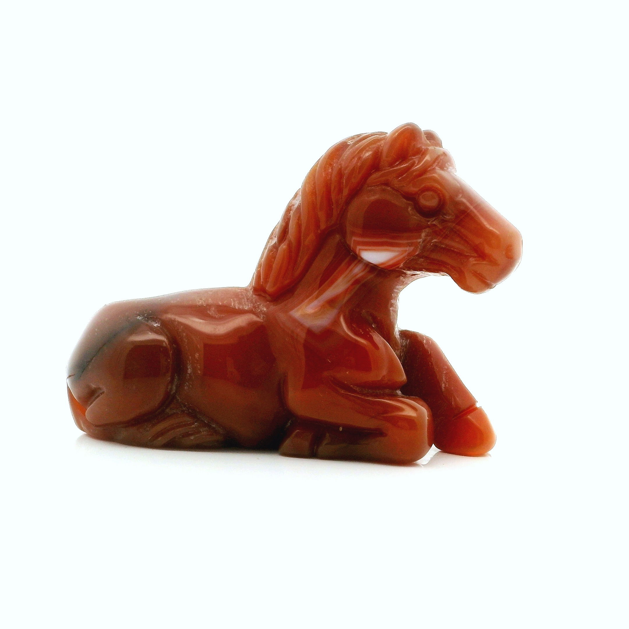 Celebrate the elegance of equine beauty with our Carnelian Horse Carving in a Laying Down Posture. Expertly sculpted from vibrant, natural carnelian stone, this unique piece radiates warmth with its rich orange and red hues, symbolizing courage, vitality, and good fortune. Perfect as a thoughtful gift, a stunning addition to any crystal collection, or a captivating piece of décor, this horse carving blends artistry and the energizing properties of carnelian, inviting both tranquility and motivation into your space. Ideal for sculpture enthusiasts, horse lovers, or anyone seeking a meaningful adornment for their home or workspace. Carnelian Horse Carving - Laying Down Posture