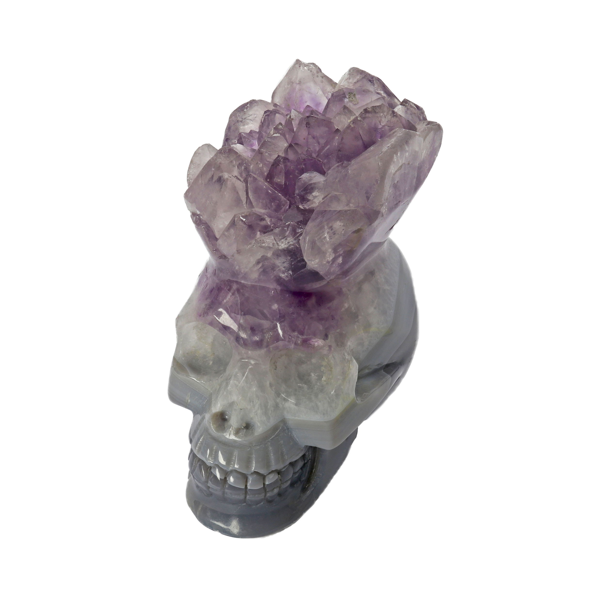 Amethyst Crystal Blossom Skull