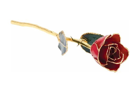 Lacquered Red Rose with Gold Trim