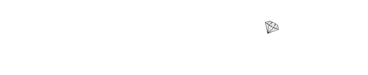 The Jewelers Shop