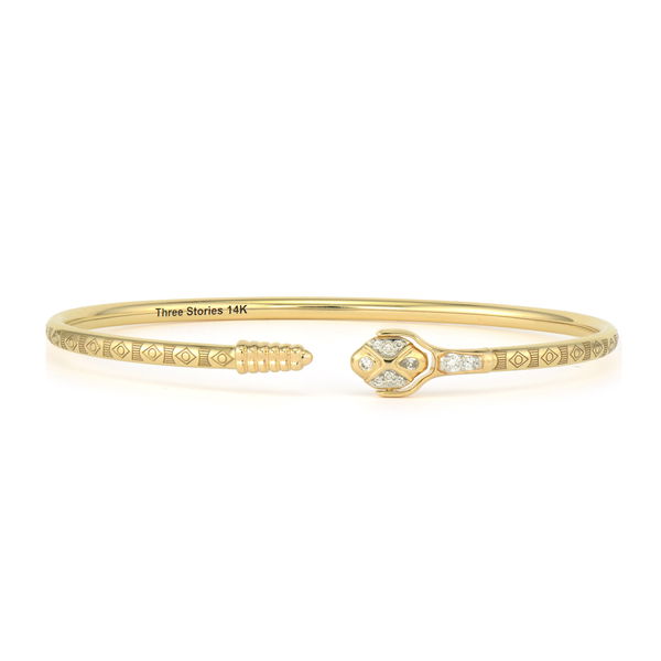 Closeup photo of Rattlesnake Flexible Flip Bangle