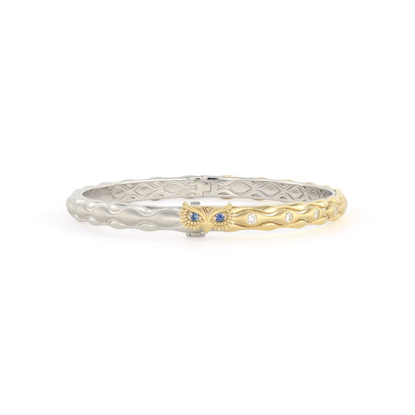Closeup photo of Two-Toned Wise Owl Bangle