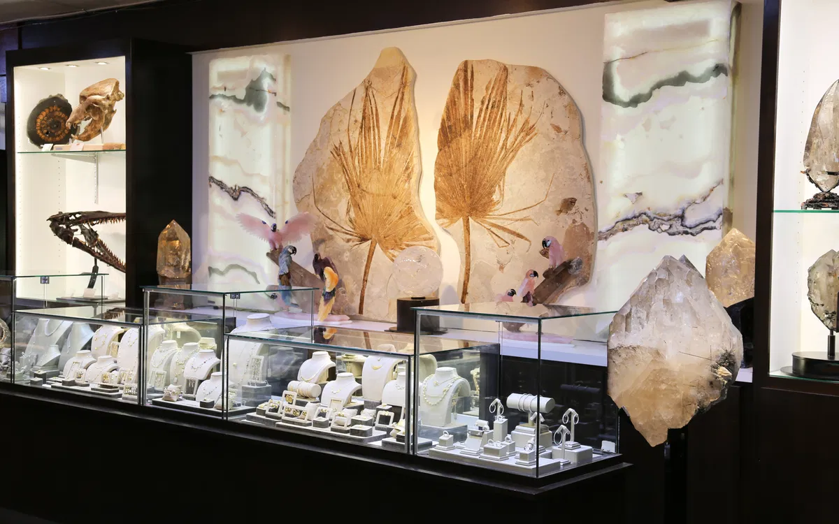 The gallery with fossil palm fronds, backlit onyx panels and jewelry cases