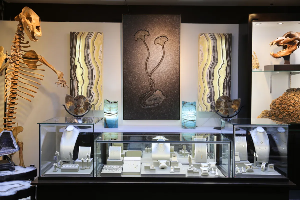The Main Street showroom with a cave bear skeleton, onyx panels and jewelry cases