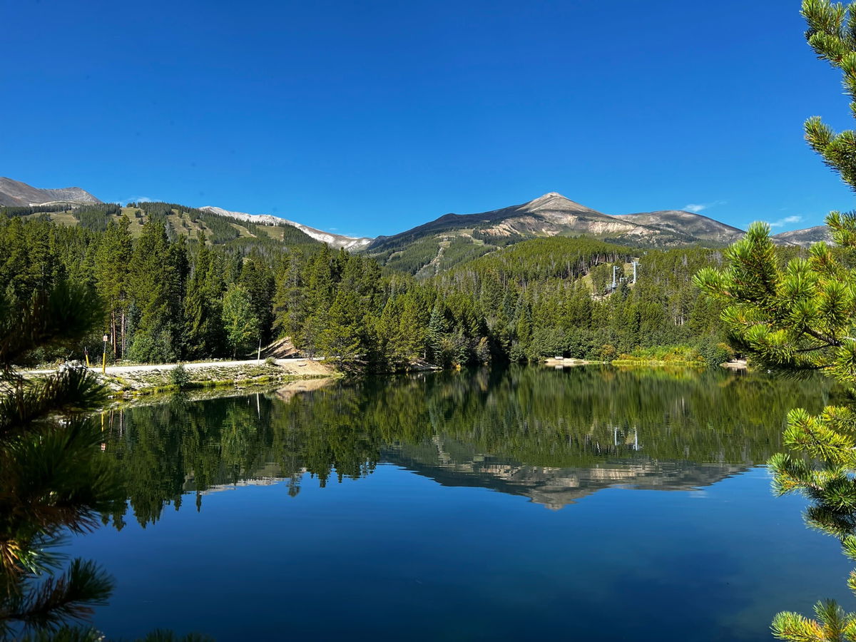 A summer alpine pond below forested slopes and peaks