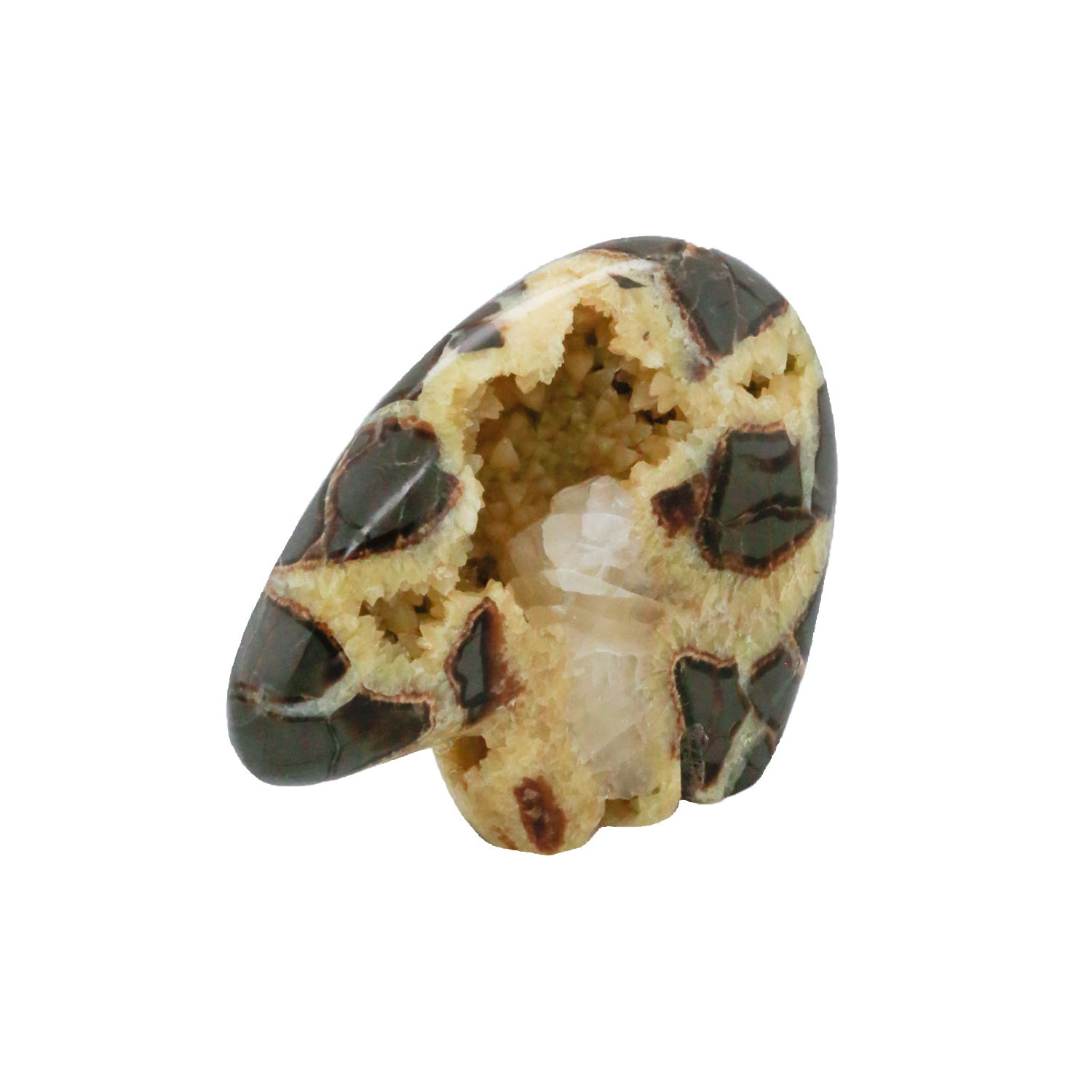 Septarian Nodule carved bear is approximately 3.5 inches in length, 3/4ths" in width, and 3" in height. Septarian nodules are made up primarialy of three different minerals. The yellow is Calcite, the brown is Aragonite or Siderite, and limestone. Septarian Carved Bear
