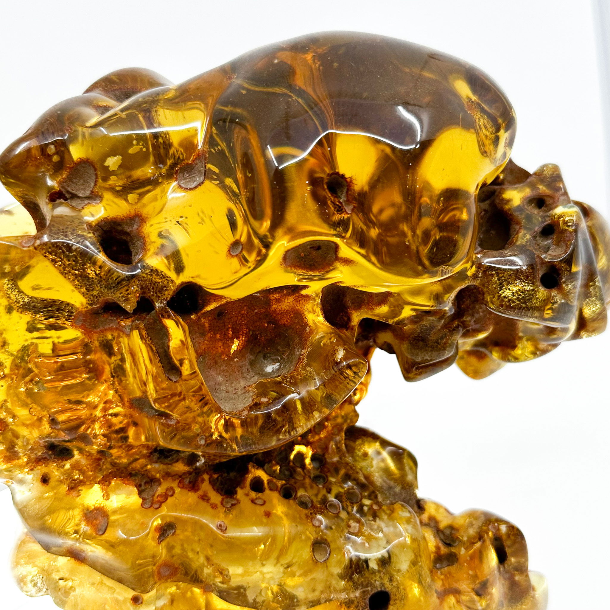 Colombian amber