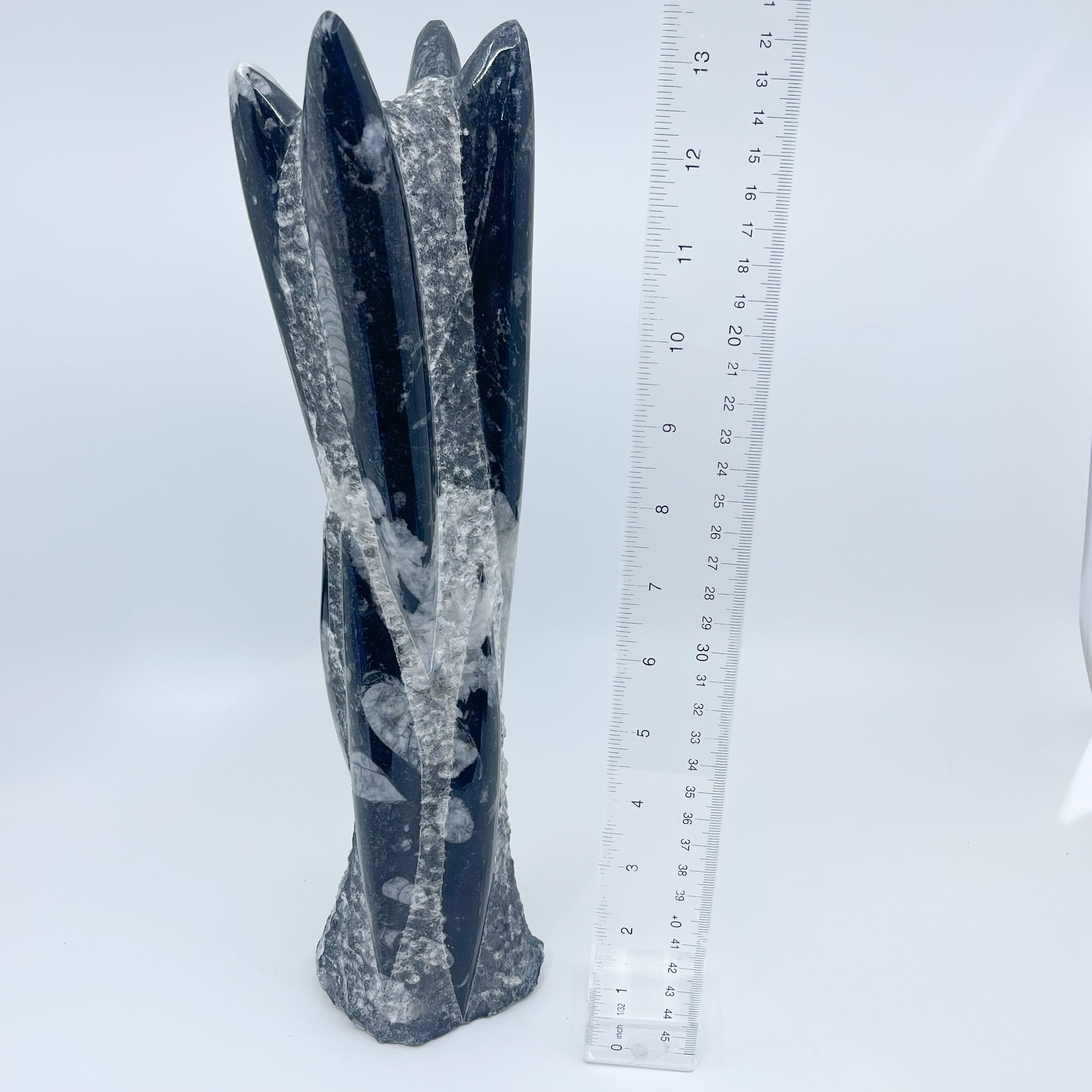 Orthoceras Tower