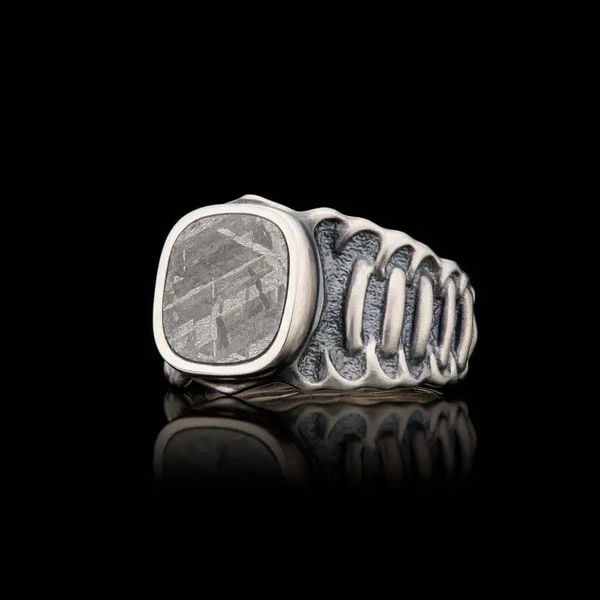Closeup photo of SLEEK - Meteorite Inlay Ring