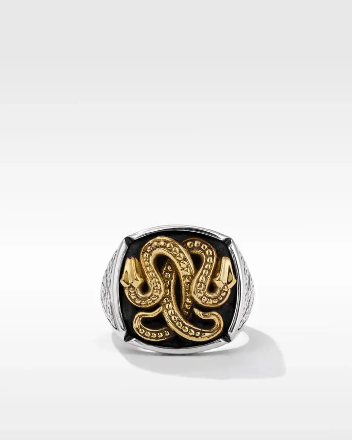 MaterialsSTERLING SILVER & BRONZE ALCHEMY RING