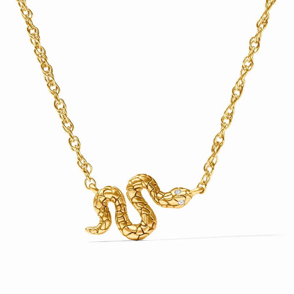 Closeup photo of Snake Delicate Necklace