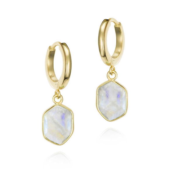 Closeup photo of GEO Earrings in Silver. 18k Gold Vermeil