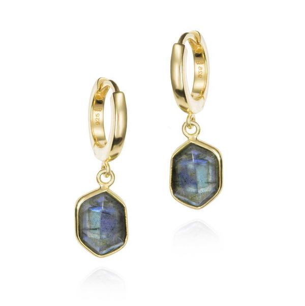 Closeup photo of GEO Earrings in Silver. 18k Gold Vermeil