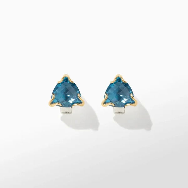 Closeup photo of Prism Studs