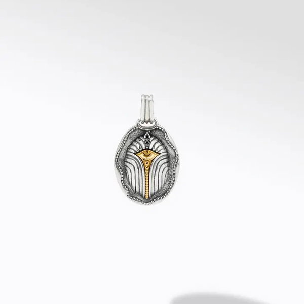 Closeup photo of Scarab Eye Pendant