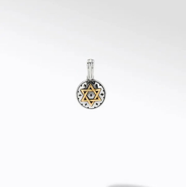 Closeup photo of David Pendant