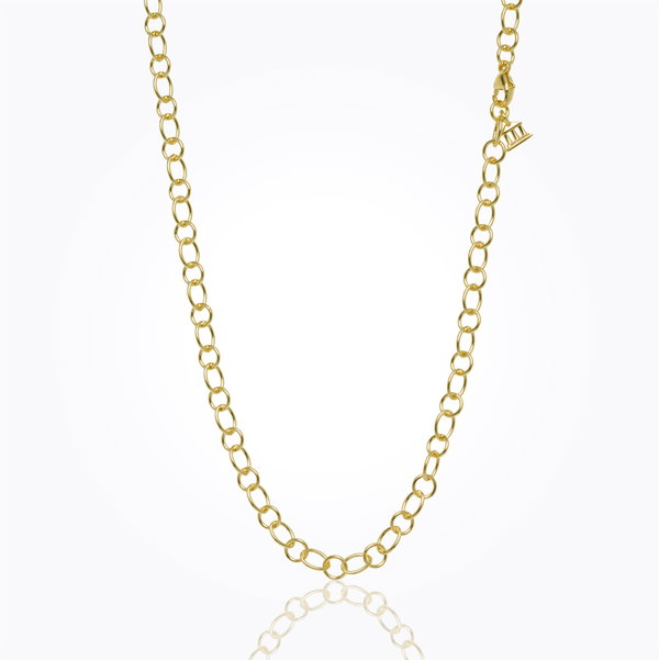 Closeup photo of 18K Ribbon Chain