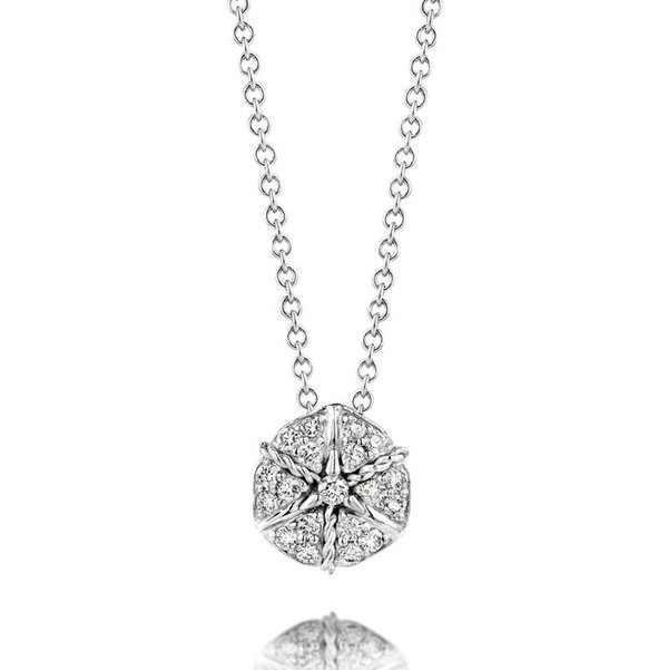 Closeup photo of White Gold Amarcord Necklace