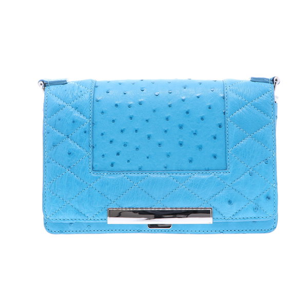 Closeup photo of Baby Blue Ostrich Chain Bag
